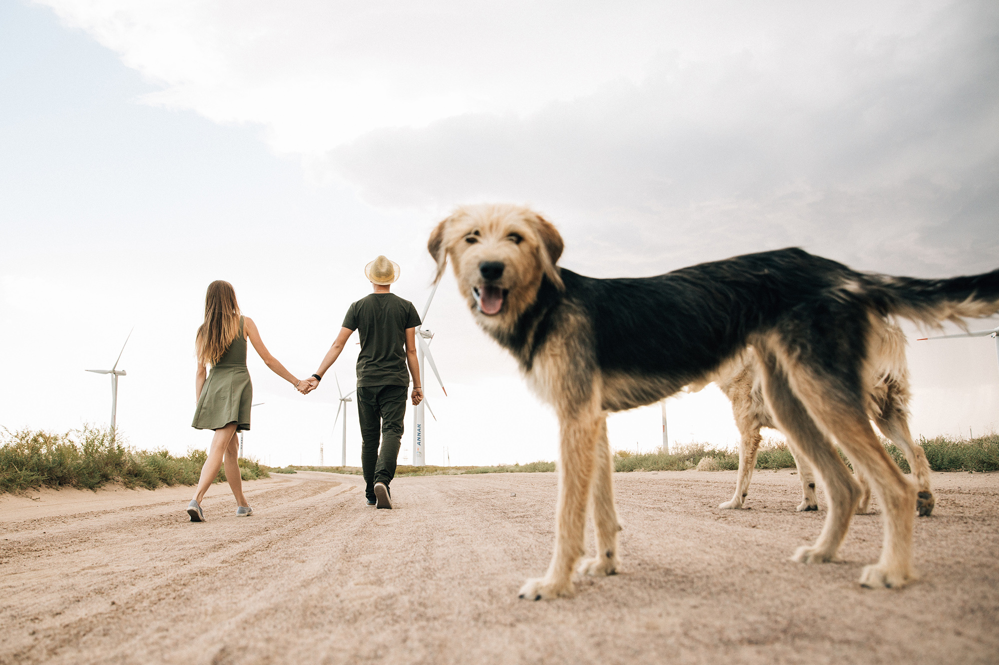 Руслан и Анастасия. Свадебный фотограф в Алматы Николай Киреев