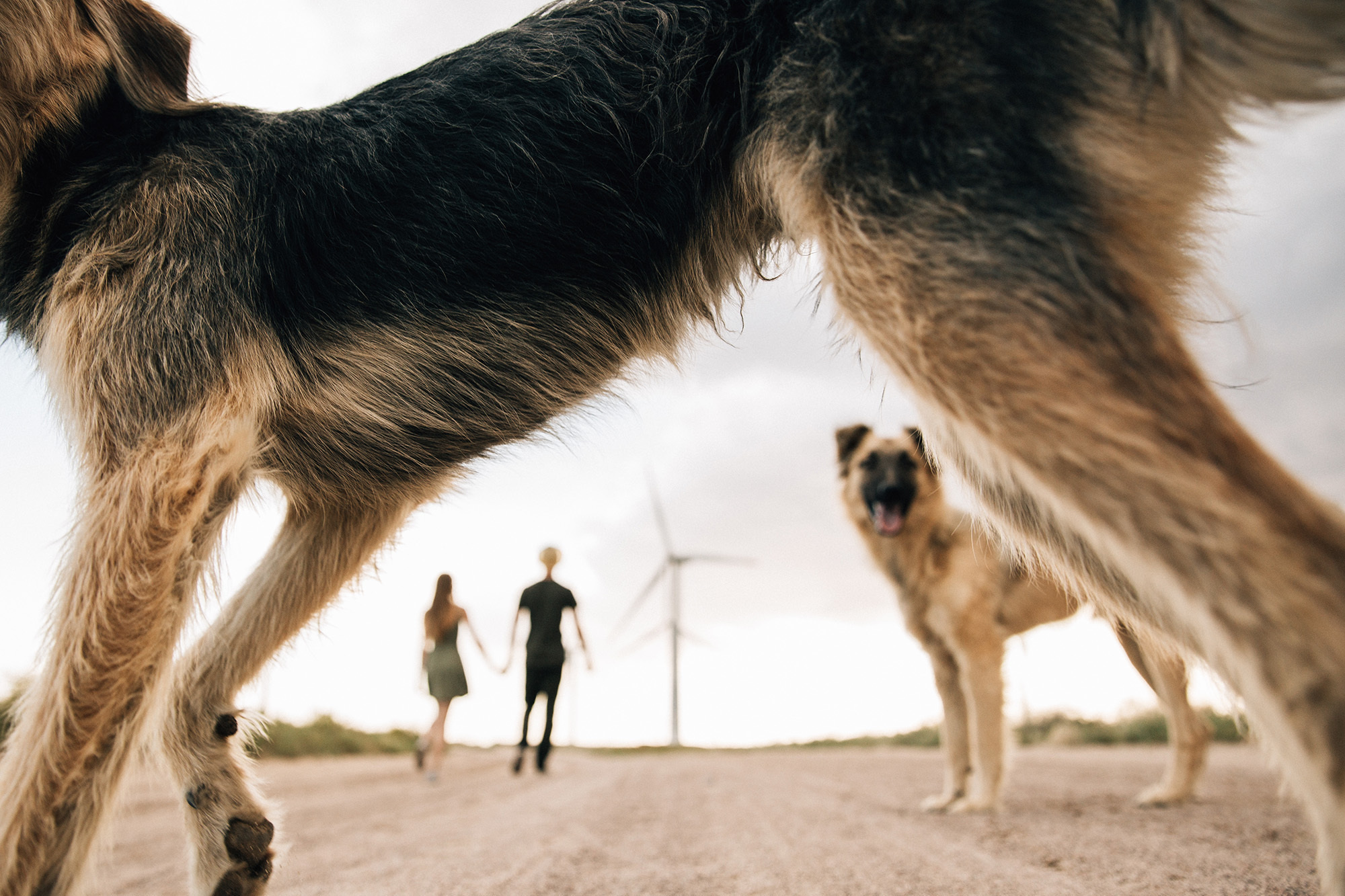 Руслан и Анастасия. Свадебный фотограф в Алматы Николай Киреев