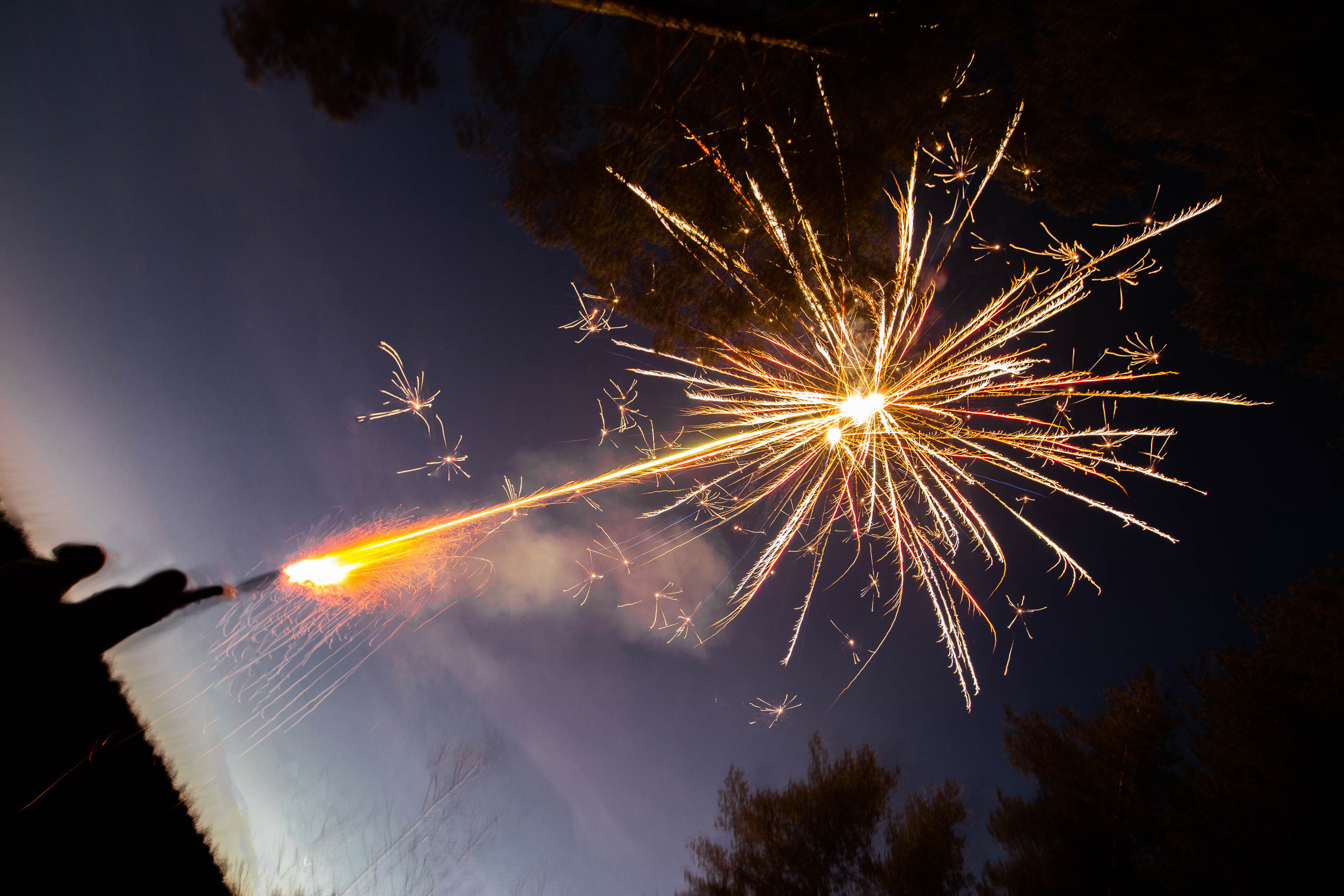 Artrem + Dasha. Антон Айрис | Anton Iris — стильно сниму твою свадьбу и депрессию