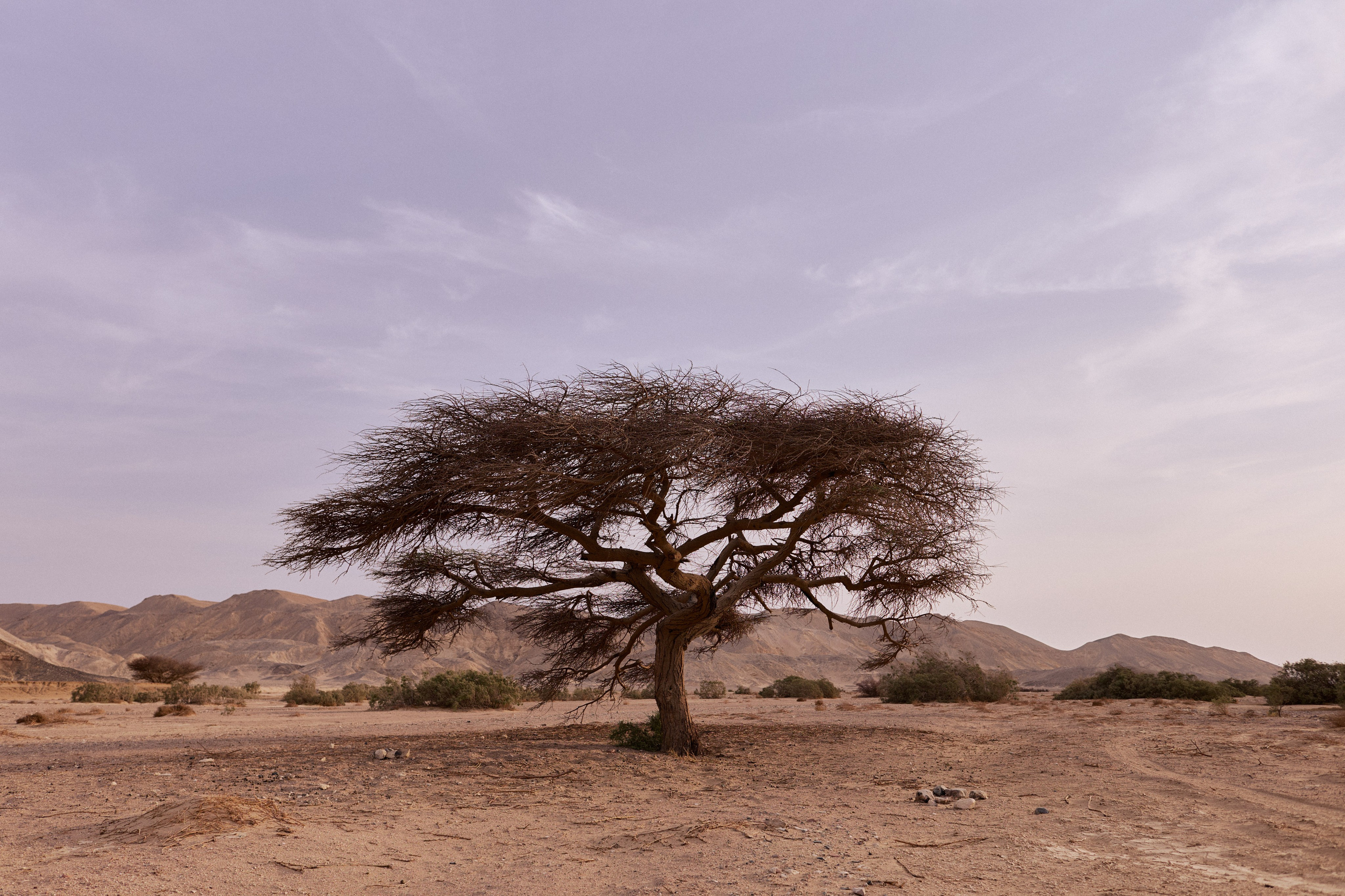 Улица горизонтальная. Jorgis — фотограф в Хургаде / обучение фотографии