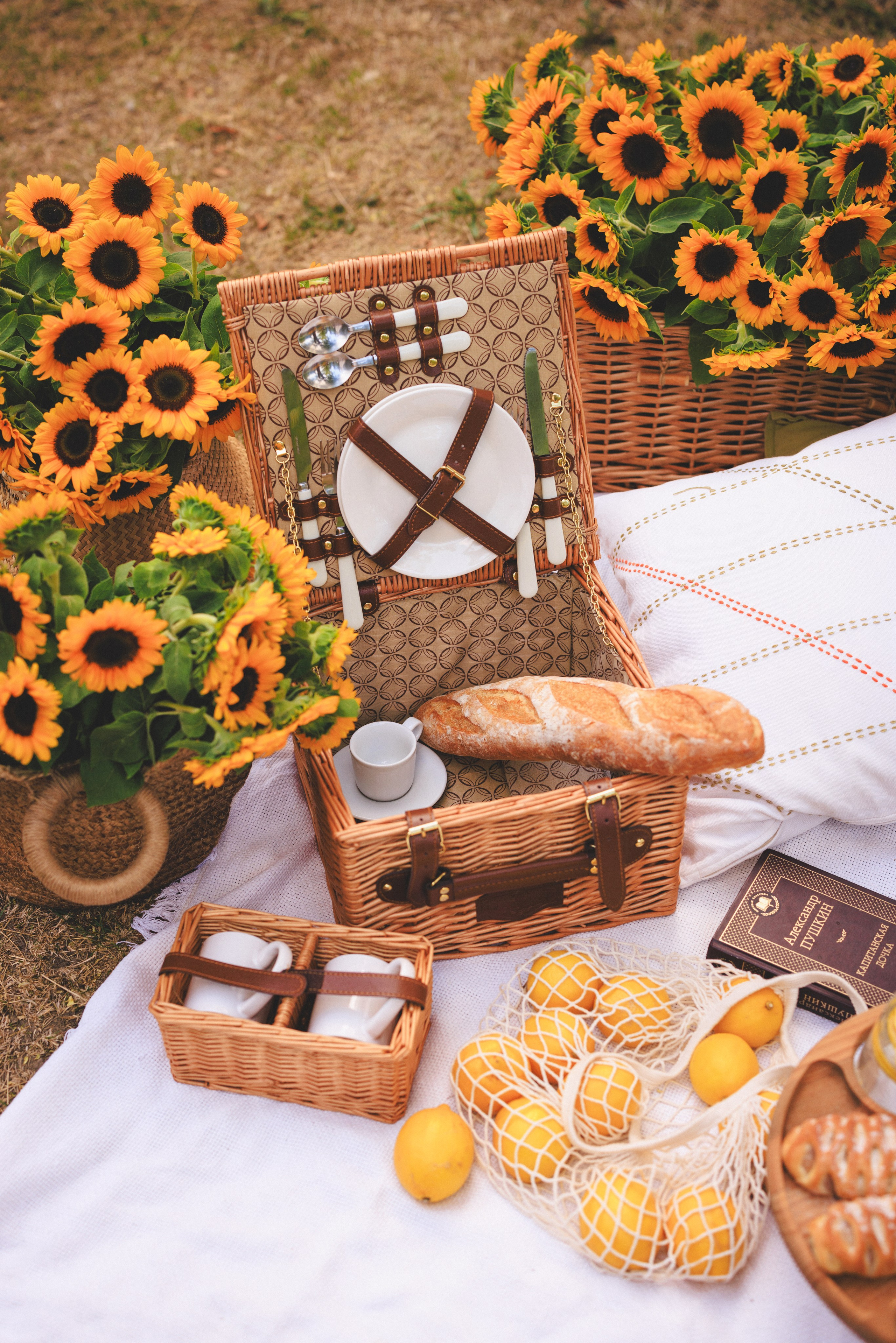Фотосессия «ПИКНИК» на природе в Краснодаре. Семейный и детский фотограф в Краснодаре Анна Трашкова