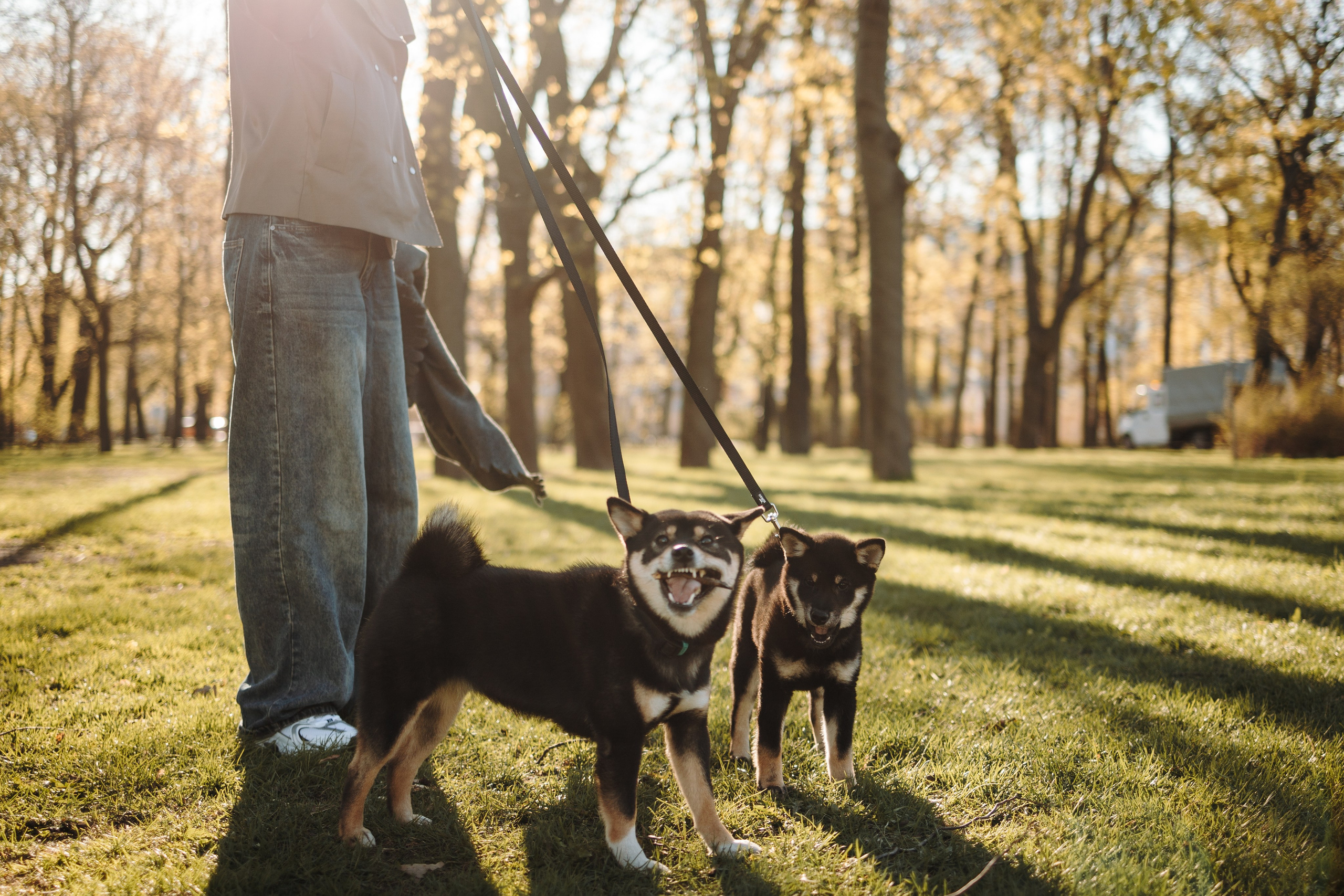 Даша и ее девочки. Фотограф — Анималист | Санкт-Петербург