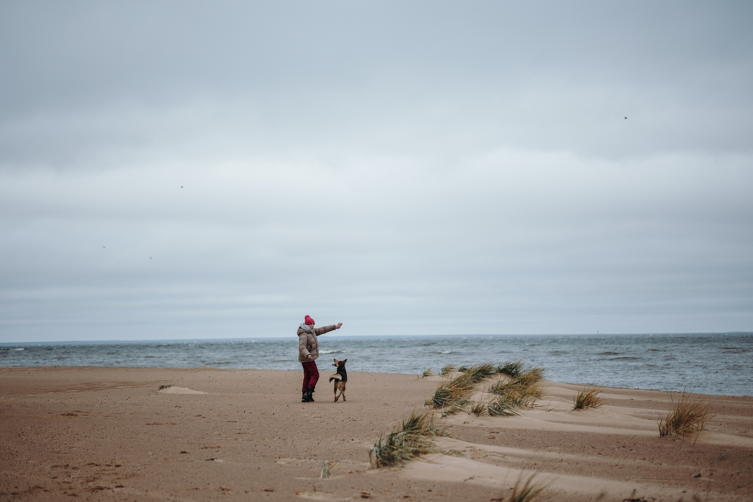 Наталья и Того. Фотограф — Анималист | Санкт-Петербург