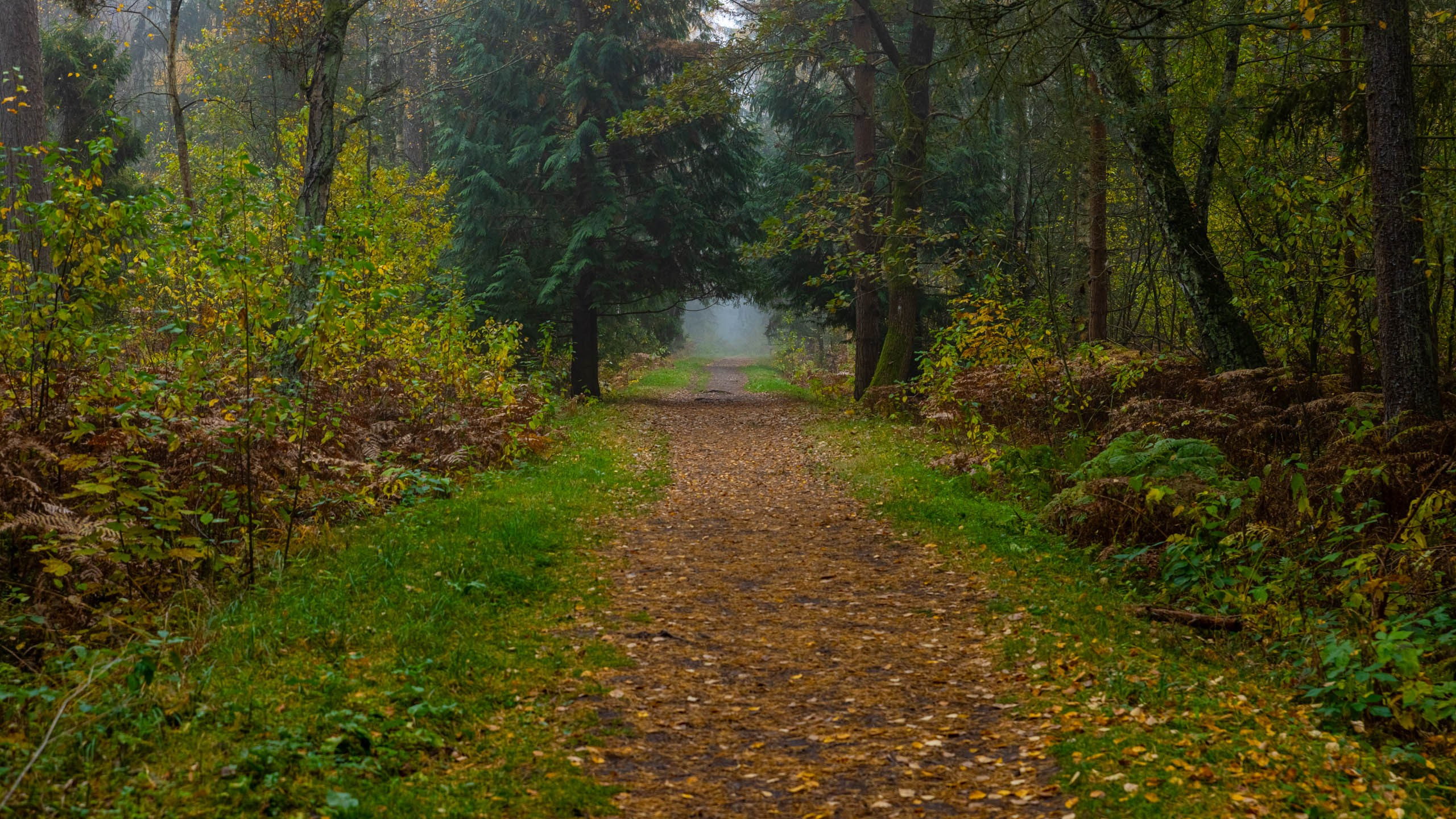 2024 10 Зеленоградск, Светлогорск, Куршская коса. Фотографии