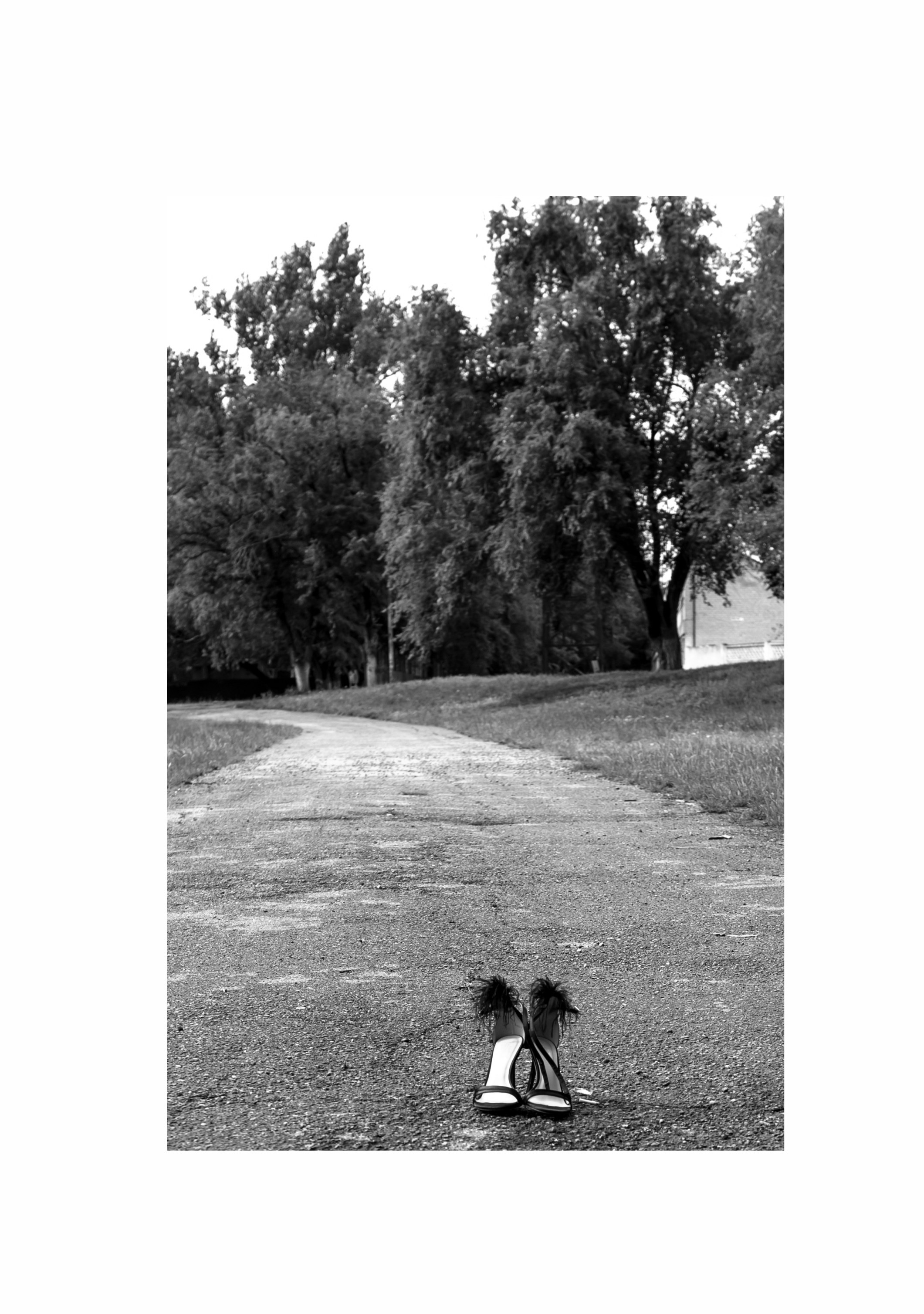 Amore more. Фотограф Невинномысск