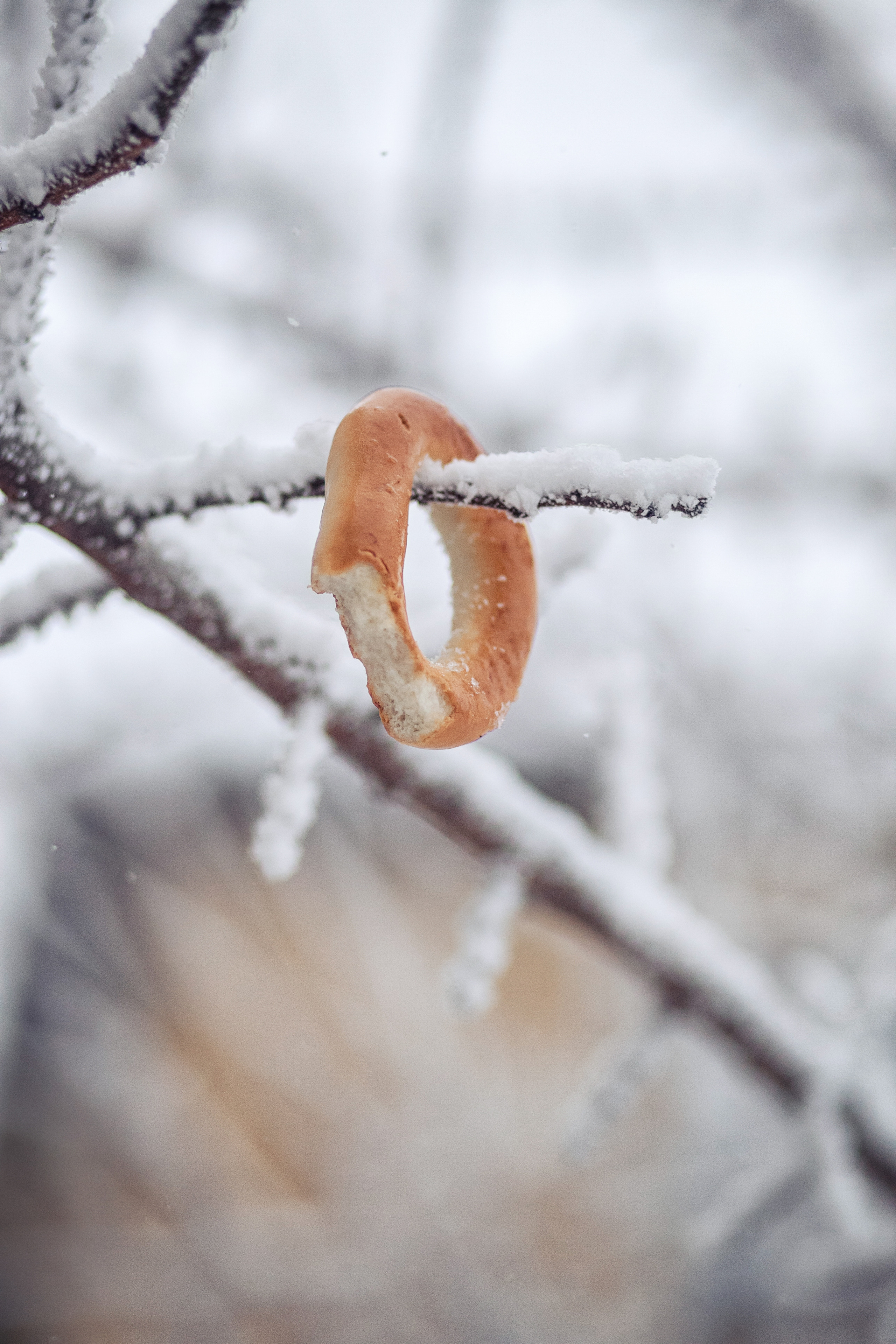 Портреты. Фотограф крещения и венчания Антонова Надежда г. Москва