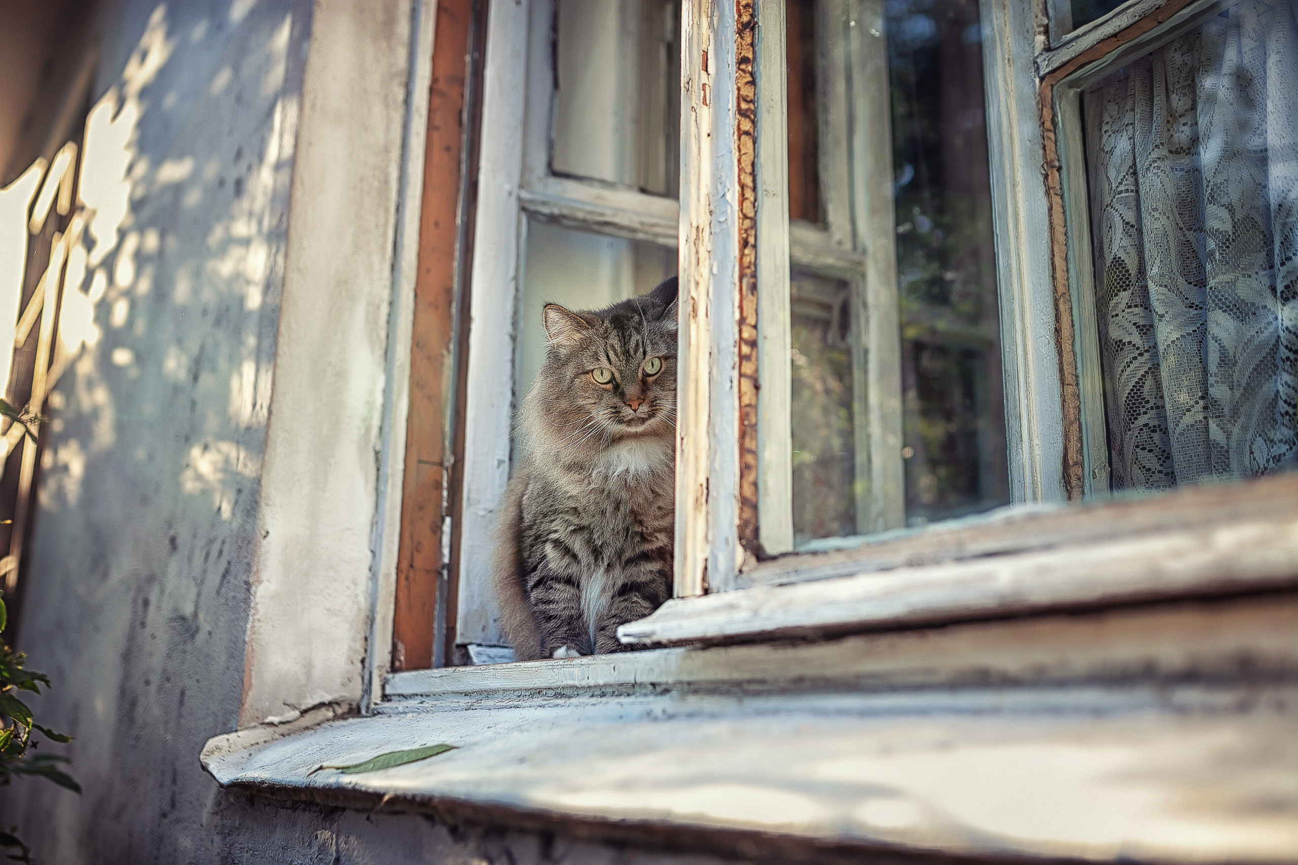 Портреты. Фотограф крещения и венчания Антонова Надежда г. Москва