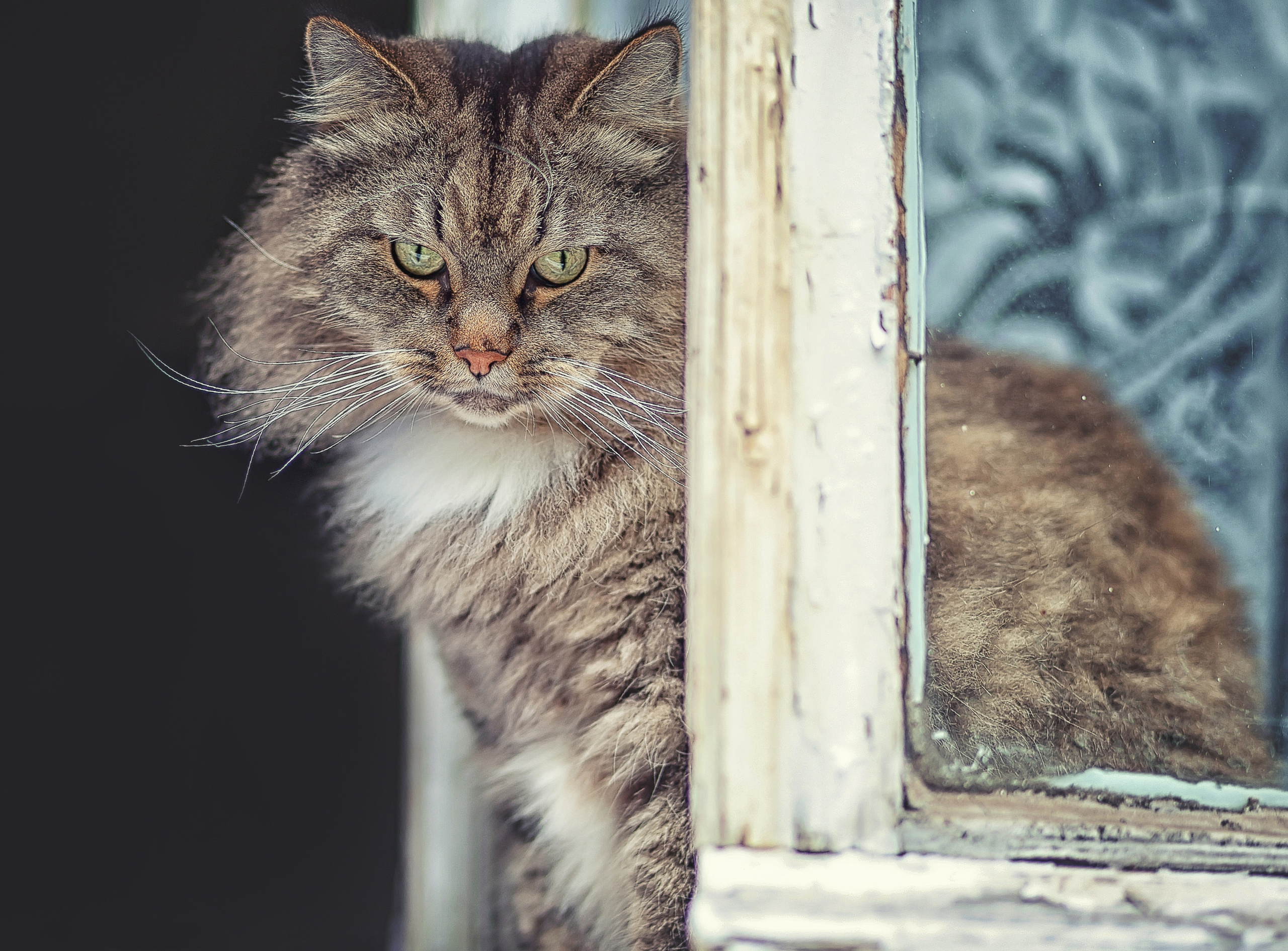 Портреты. Фотограф крещения и венчания Антонова Надежда г. Москва