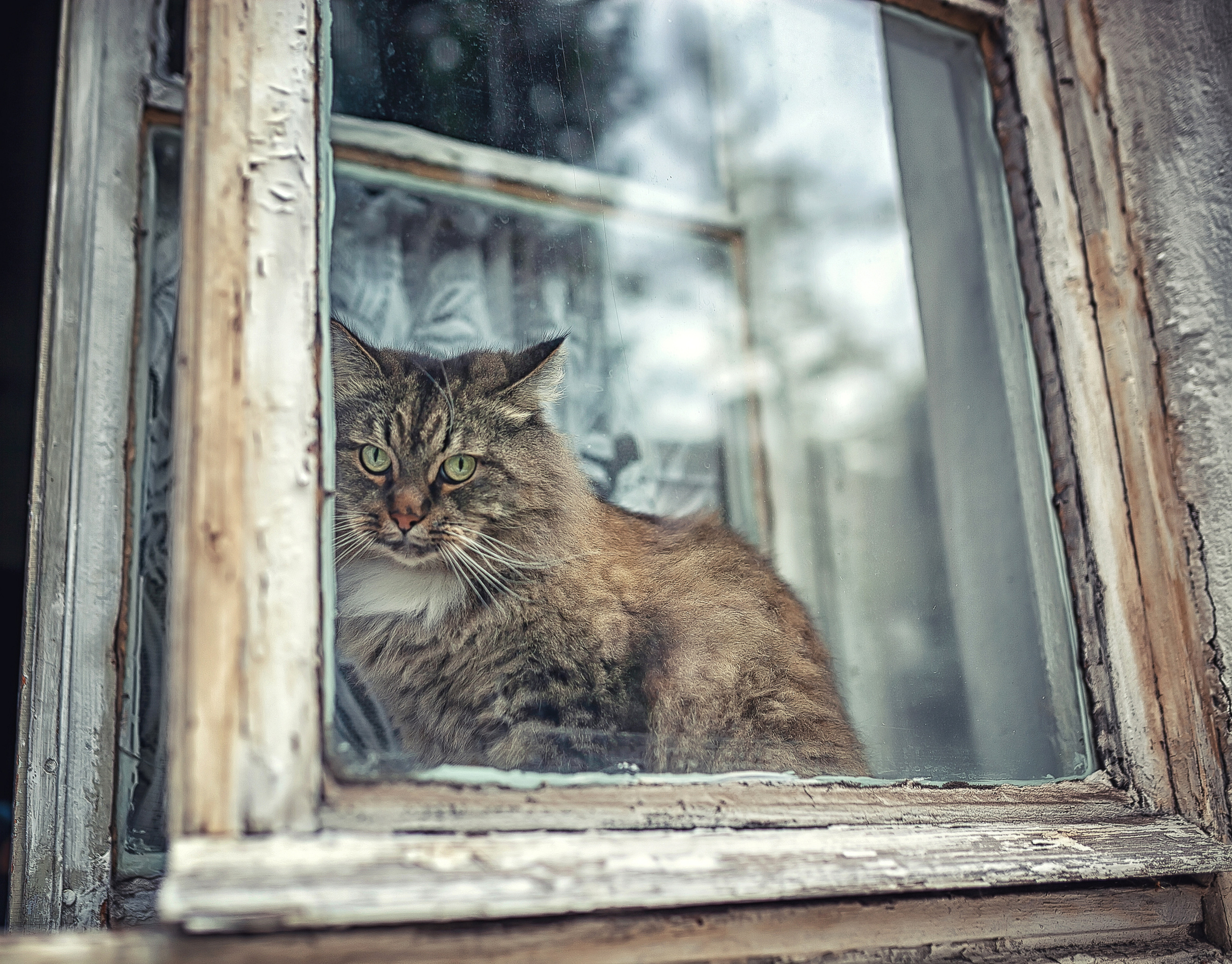 Портреты. Фотограф крещения и венчания Антонова Надежда г. Москва