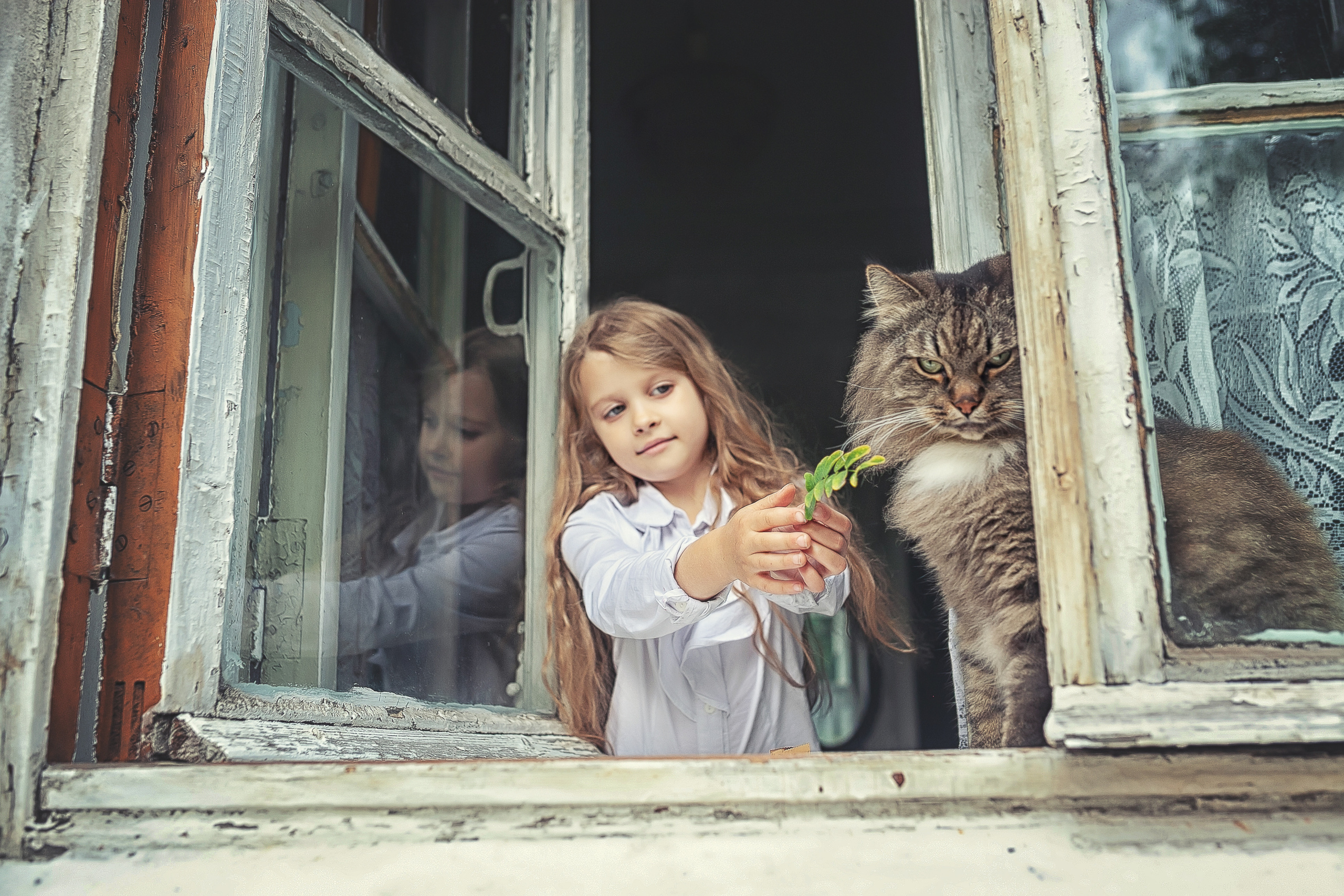 Портреты. Фотограф крещения и венчания Антонова Надежда г. Москва