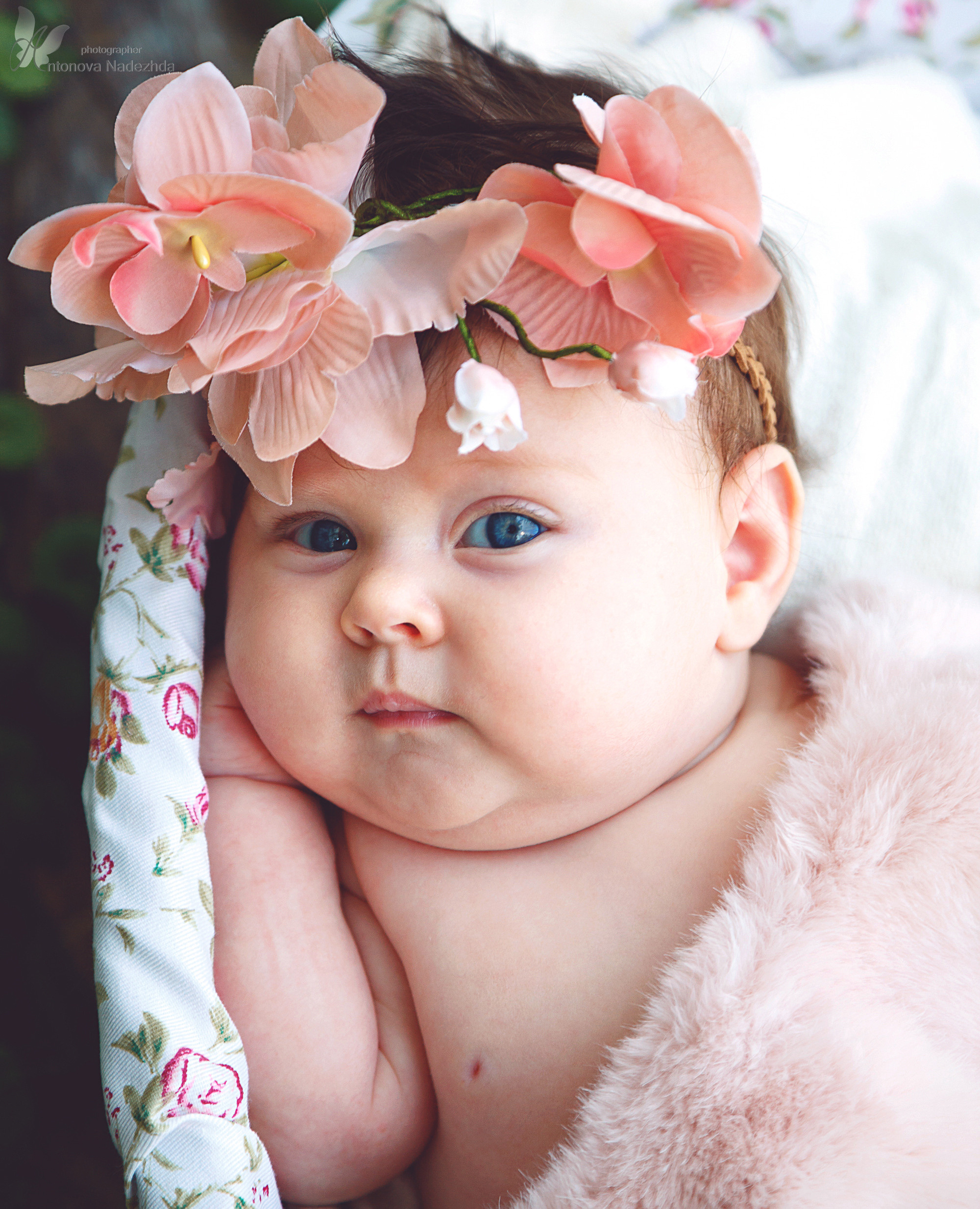 Портреты. Фотограф крещения и венчания Антонова Надежда г. Москва