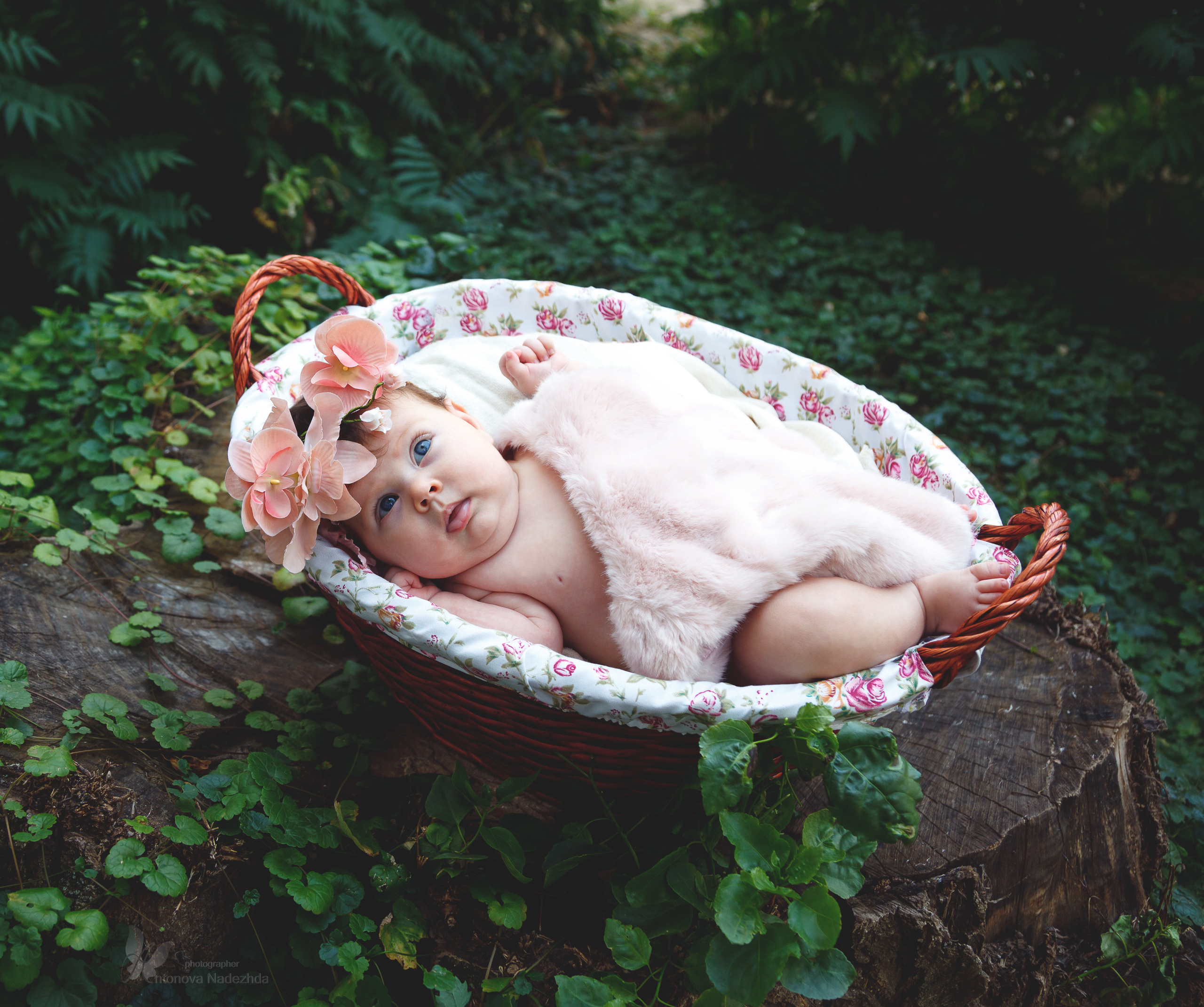 Портреты. Фотограф крещения и венчания Антонова Надежда г. Москва