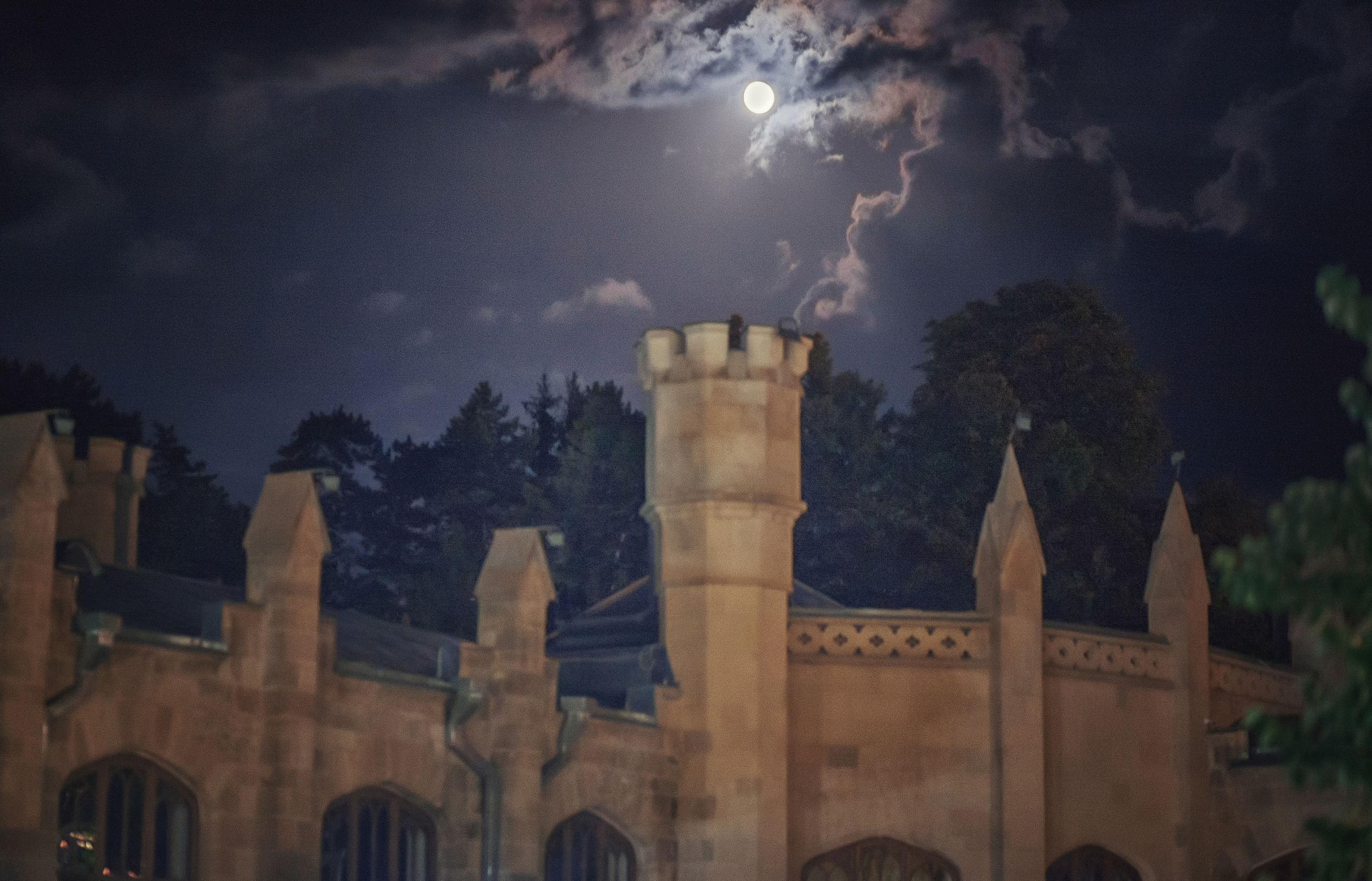 Портреты. Фотограф крещения и венчания Антонова Надежда г. Москва