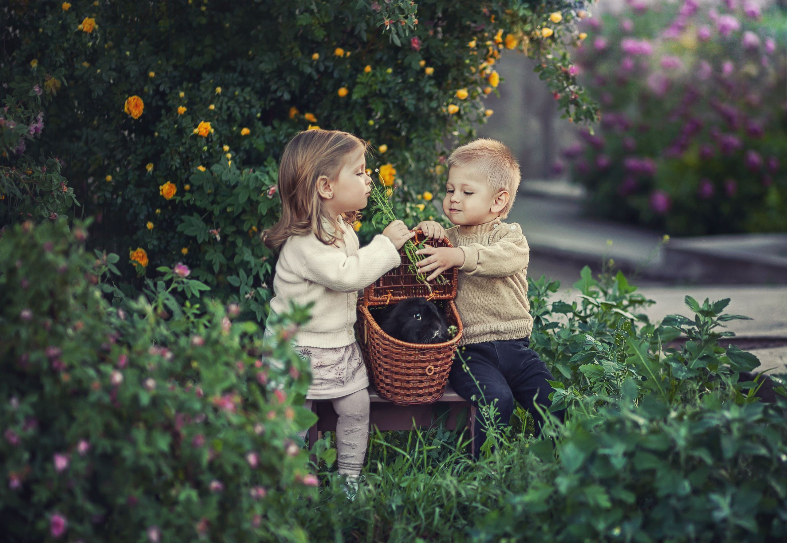 Портреты. Фотограф крещения и венчания Антонова Надежда г. Москва