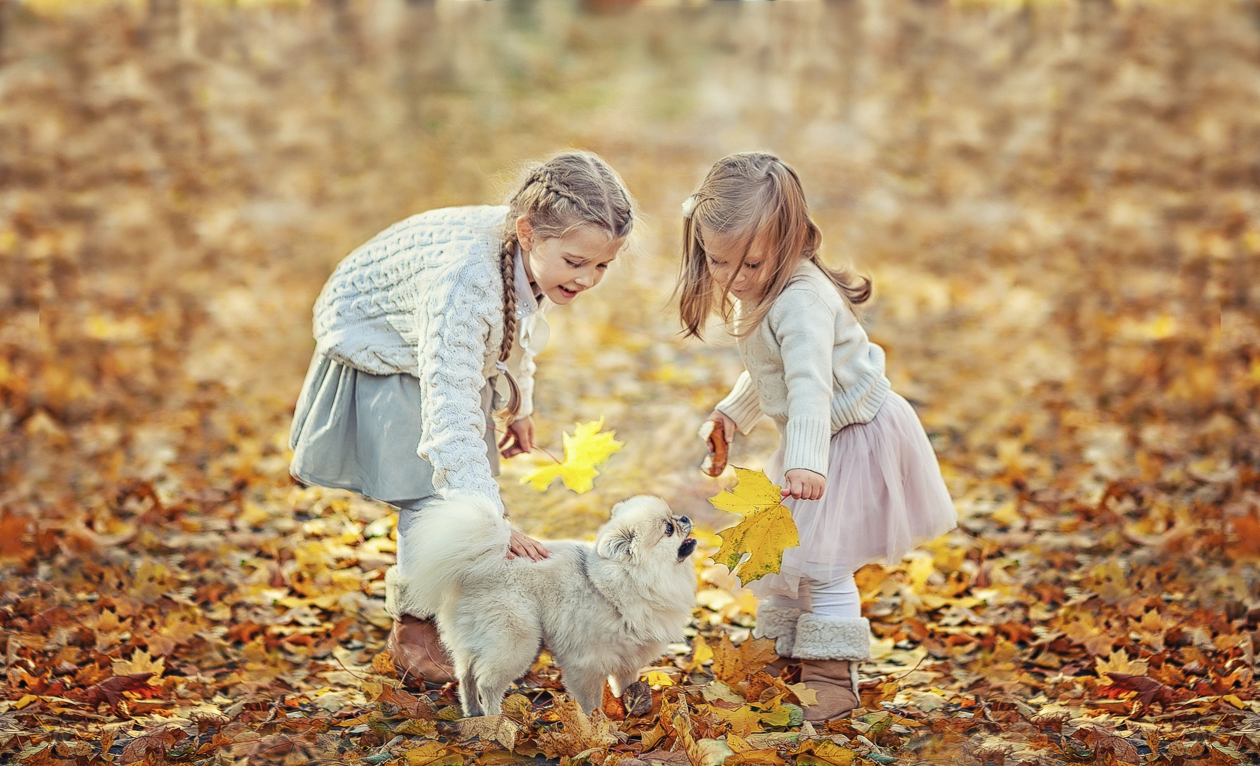Портреты. Фотограф крещения и венчания Антонова Надежда г. Москва