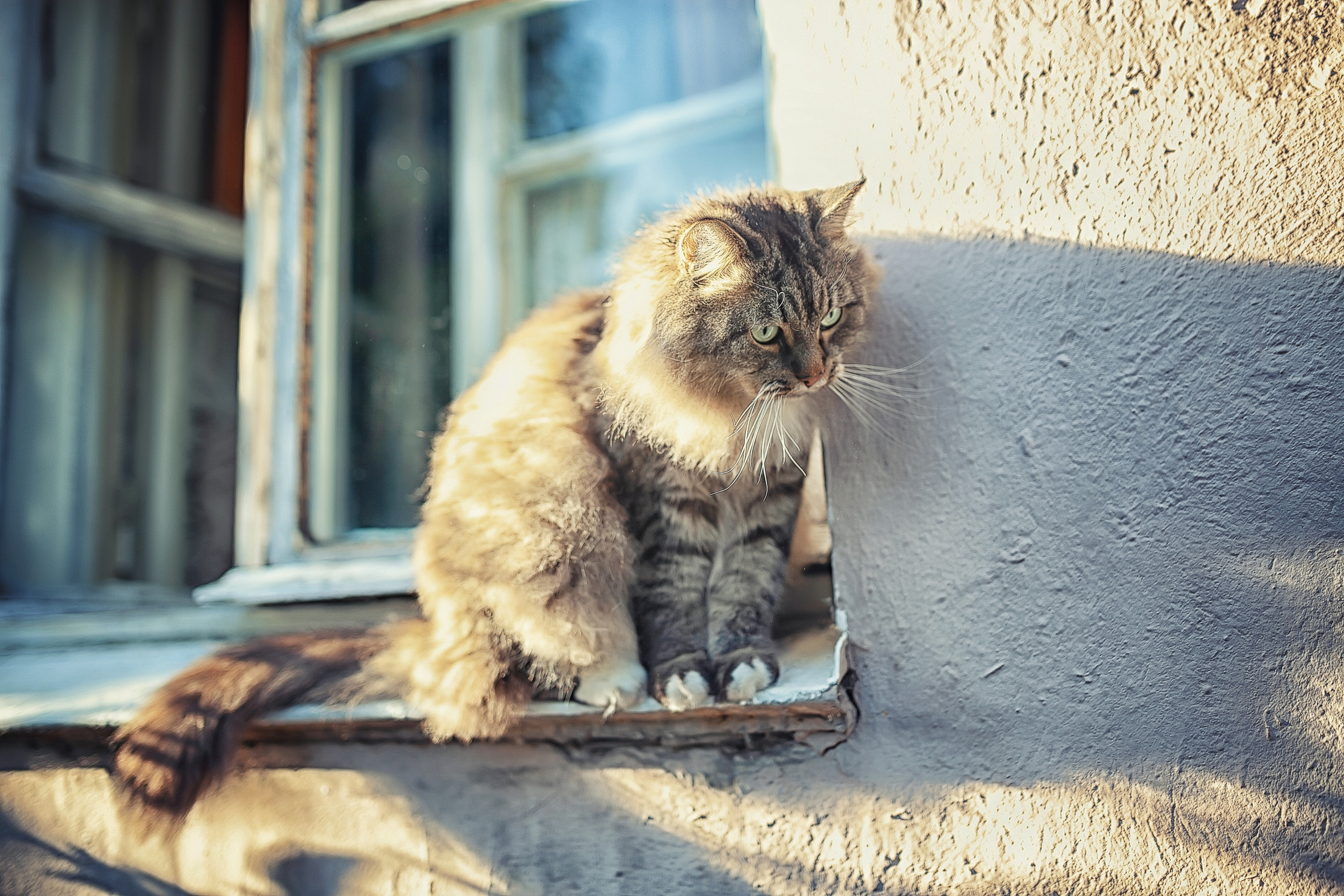 Портреты. Фотограф крещения и венчания Антонова Надежда г. Москва