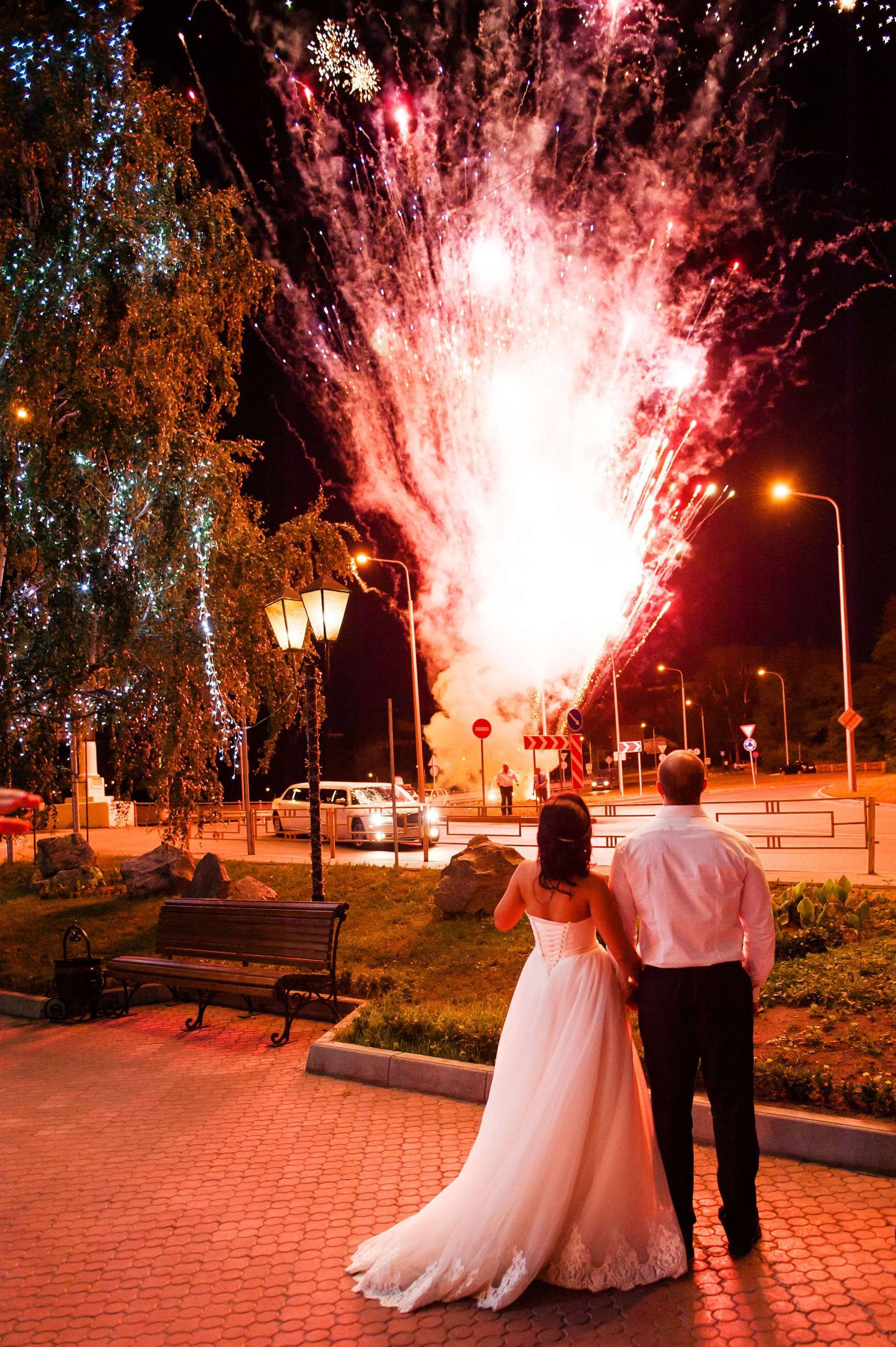 Владимир и Элина