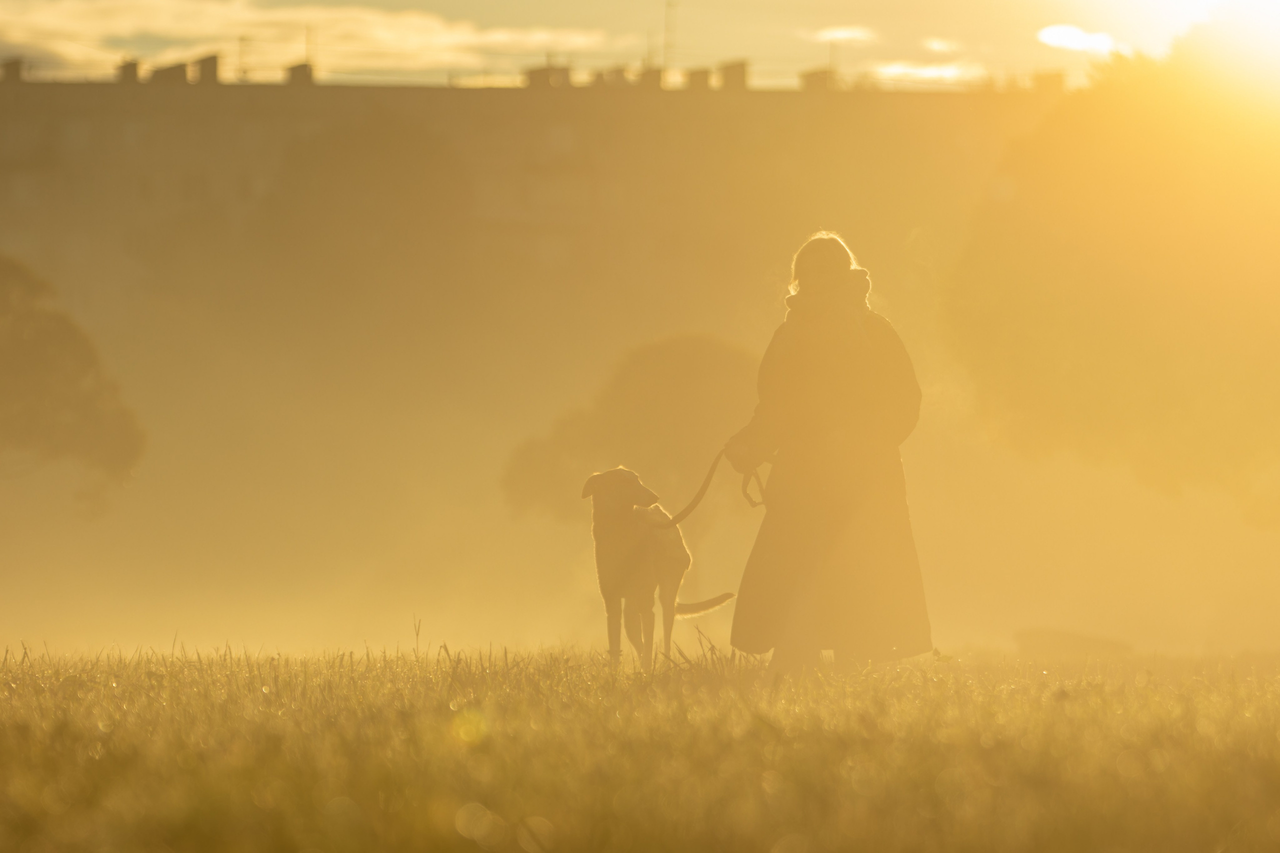 Осеннее утро с Мухой. Фотограф-анималист Юлия Зубкова