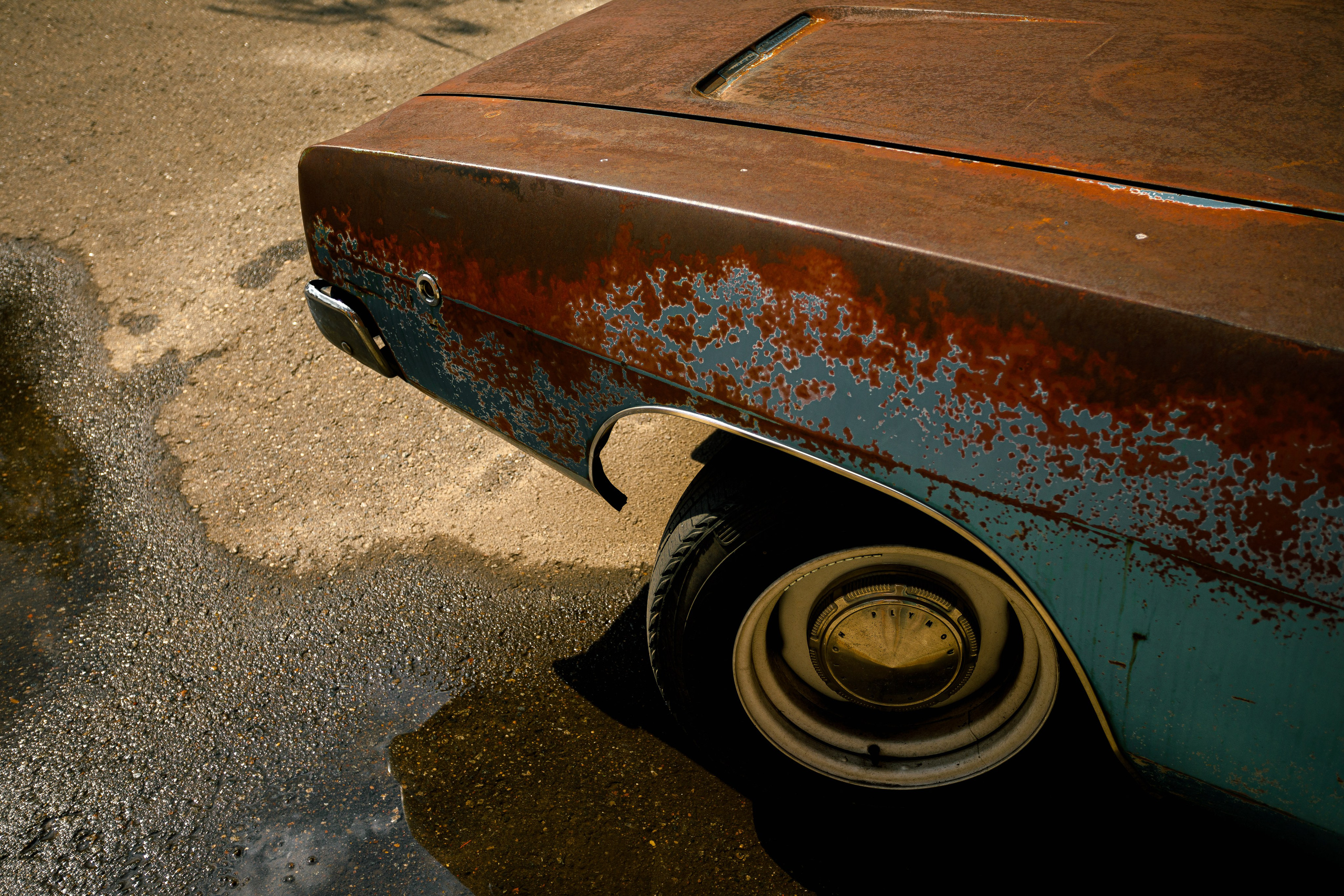 Кастом Конвенция. Спортивный фотограф — Никита