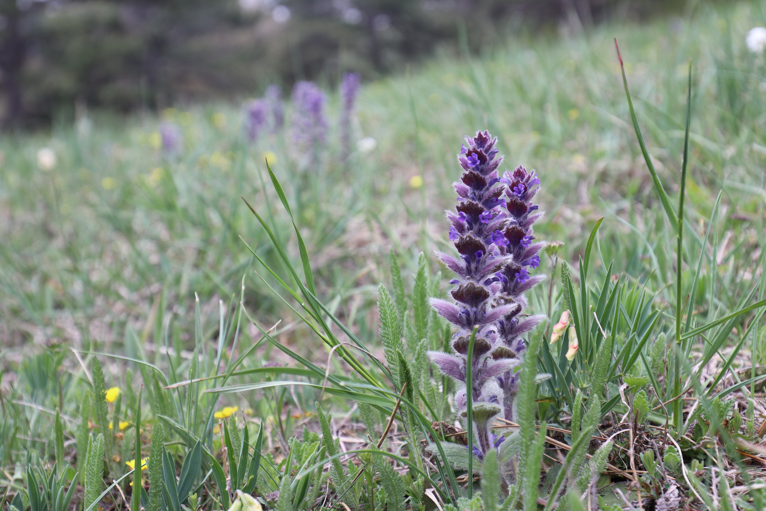 Крым. ЮБК (Бахчисарай, Демерджи, Судак). Первый скалолазный выезд. Май 2019. Путешественник-фотограф из Санкт-Петербурга Татьяна Свистулина