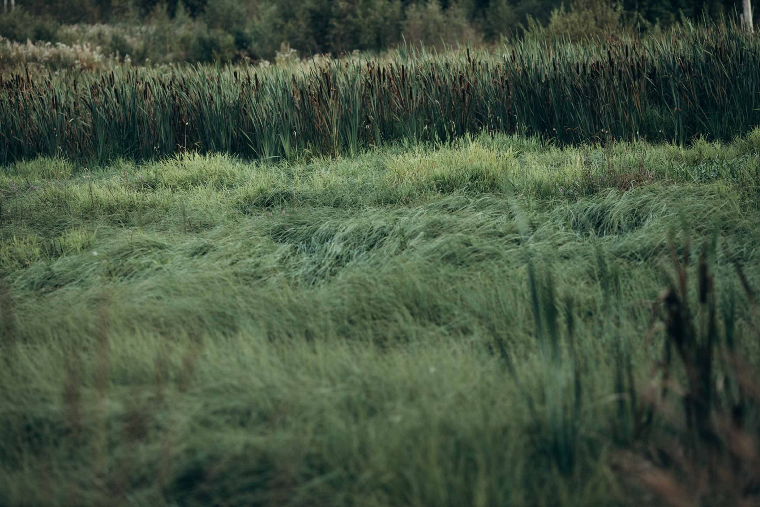 Природные пейзажи. Наталия Клевинскас портретный фотограф в Костроме