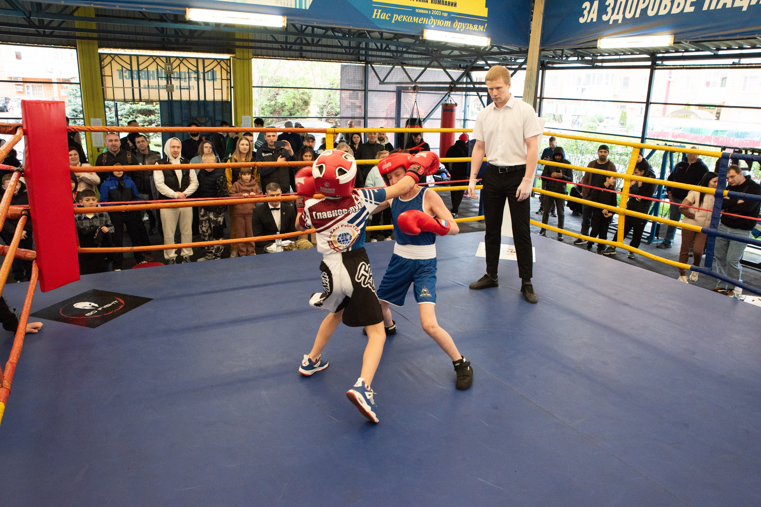 Соревнования GO FIGHT. Фотограф в Краснодаре Анна Карелина