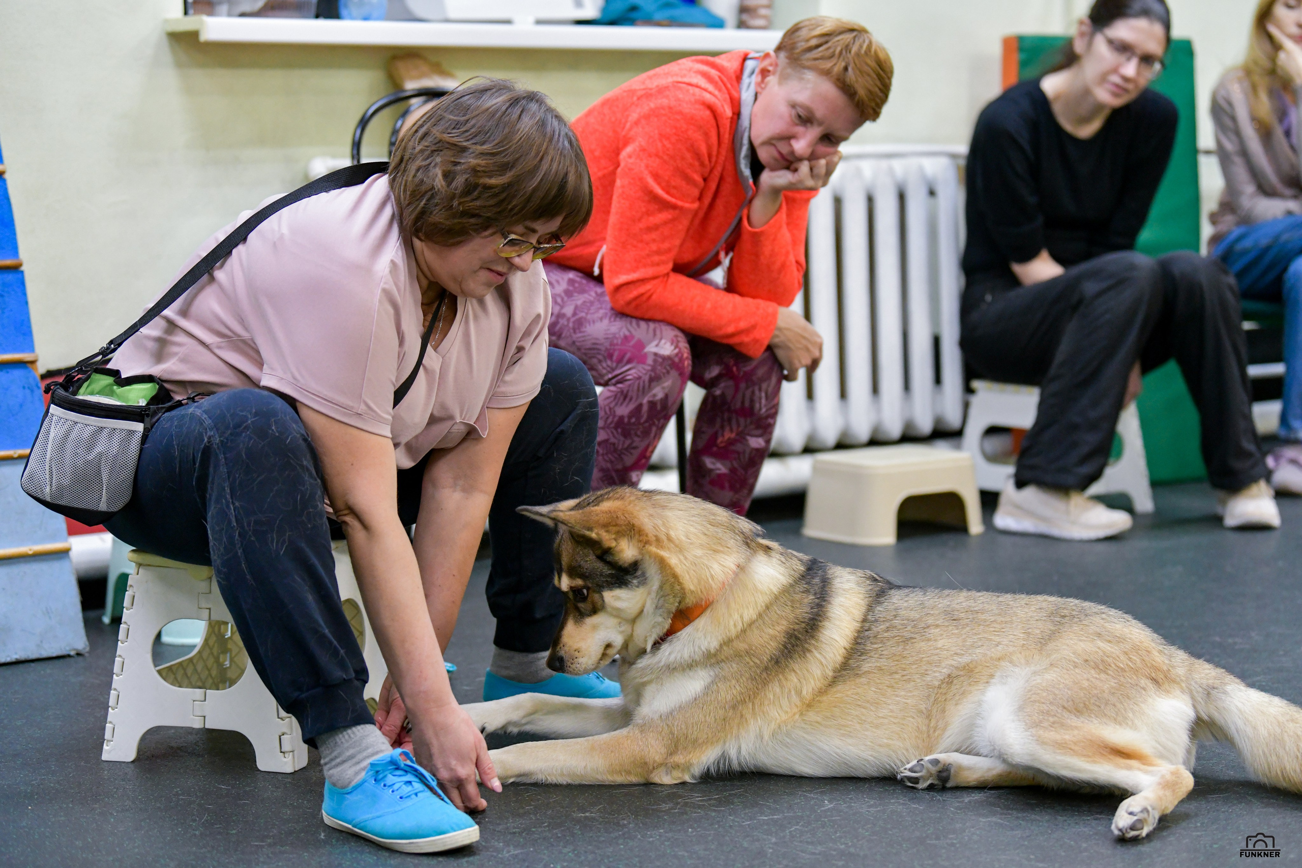 Кинологический клуб «Бодрый хвост». Свой взгляд через объектив