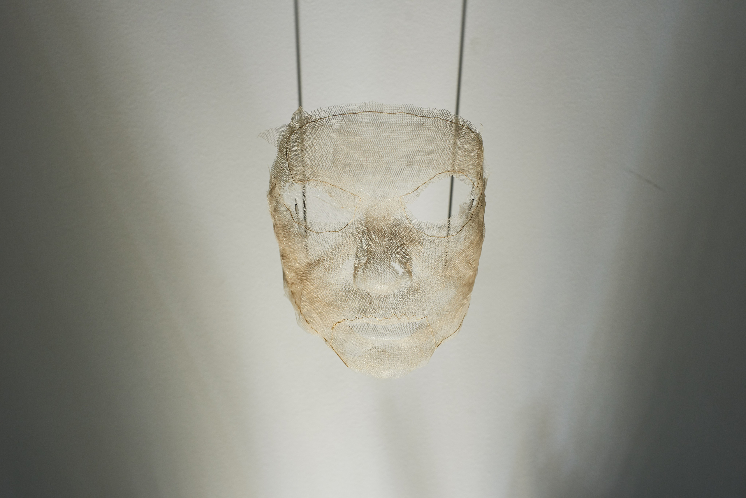 THE ALIENATED BODY. Ilmira Bolotyan — Interdisciplinary Artist and Curator