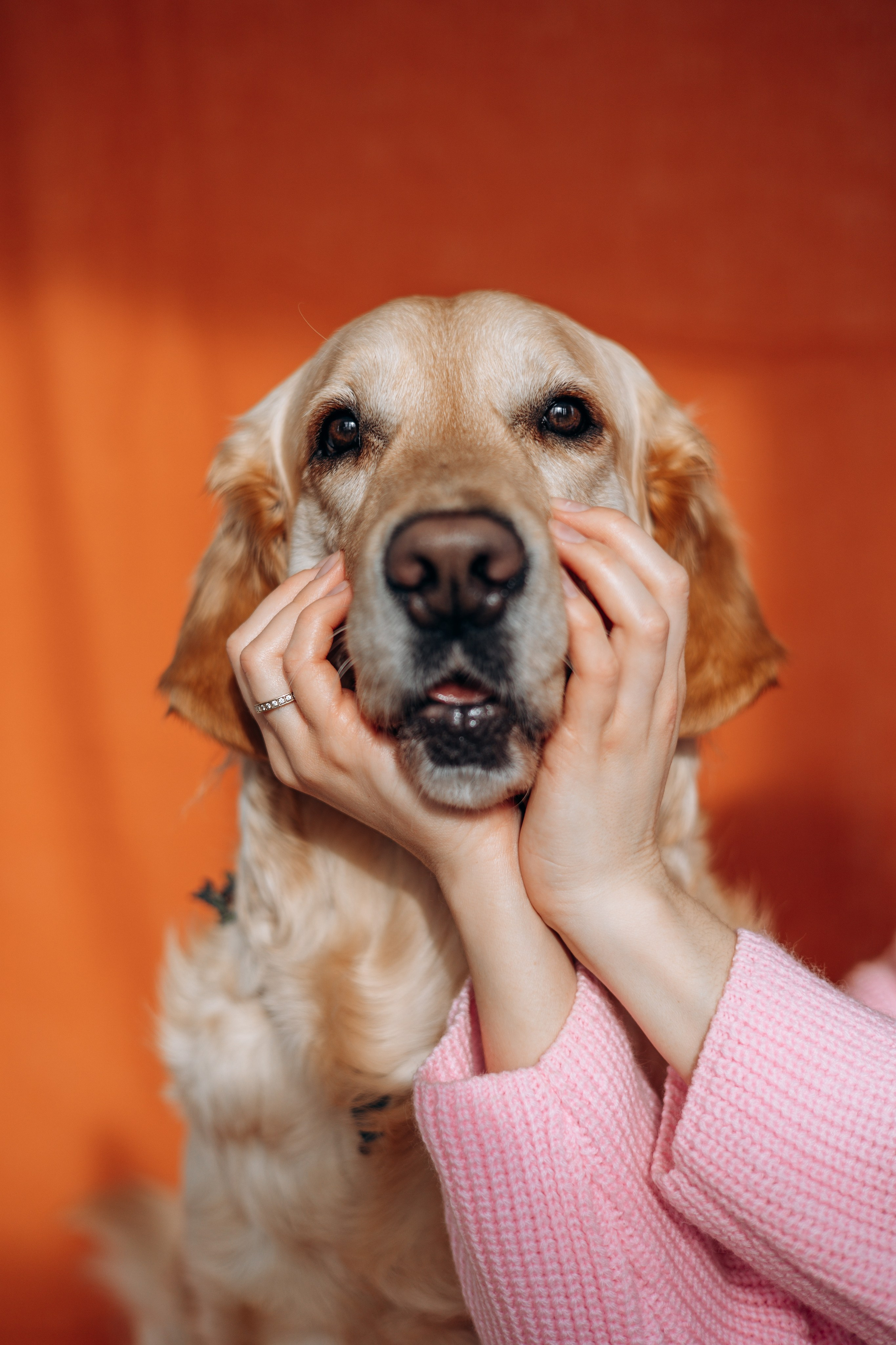 Марина и Чили. Фотограф — Анималист | Санкт-Петербург