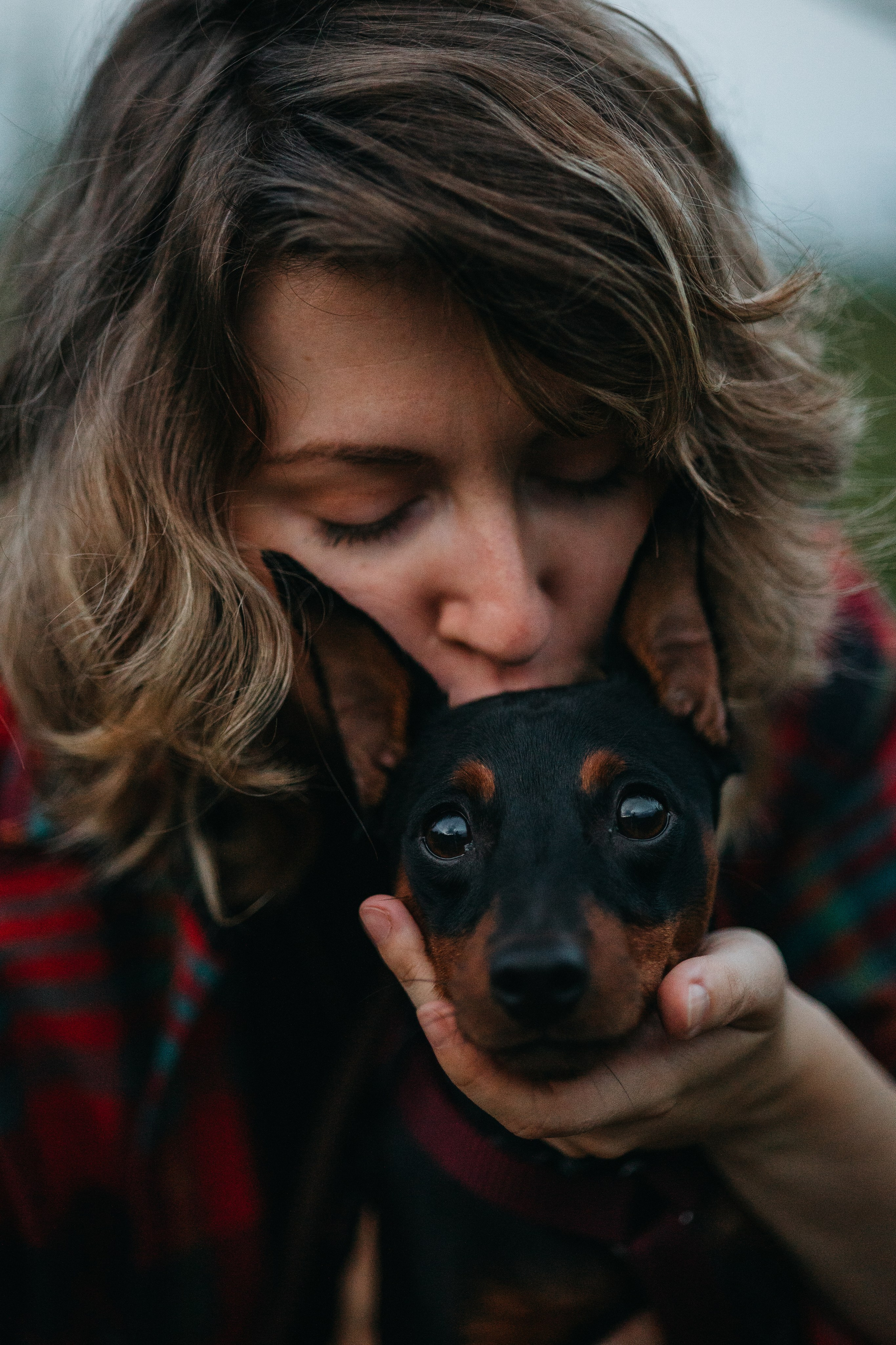 Сириус и его семья. Фотограф — Анималист | Санкт-Петербург