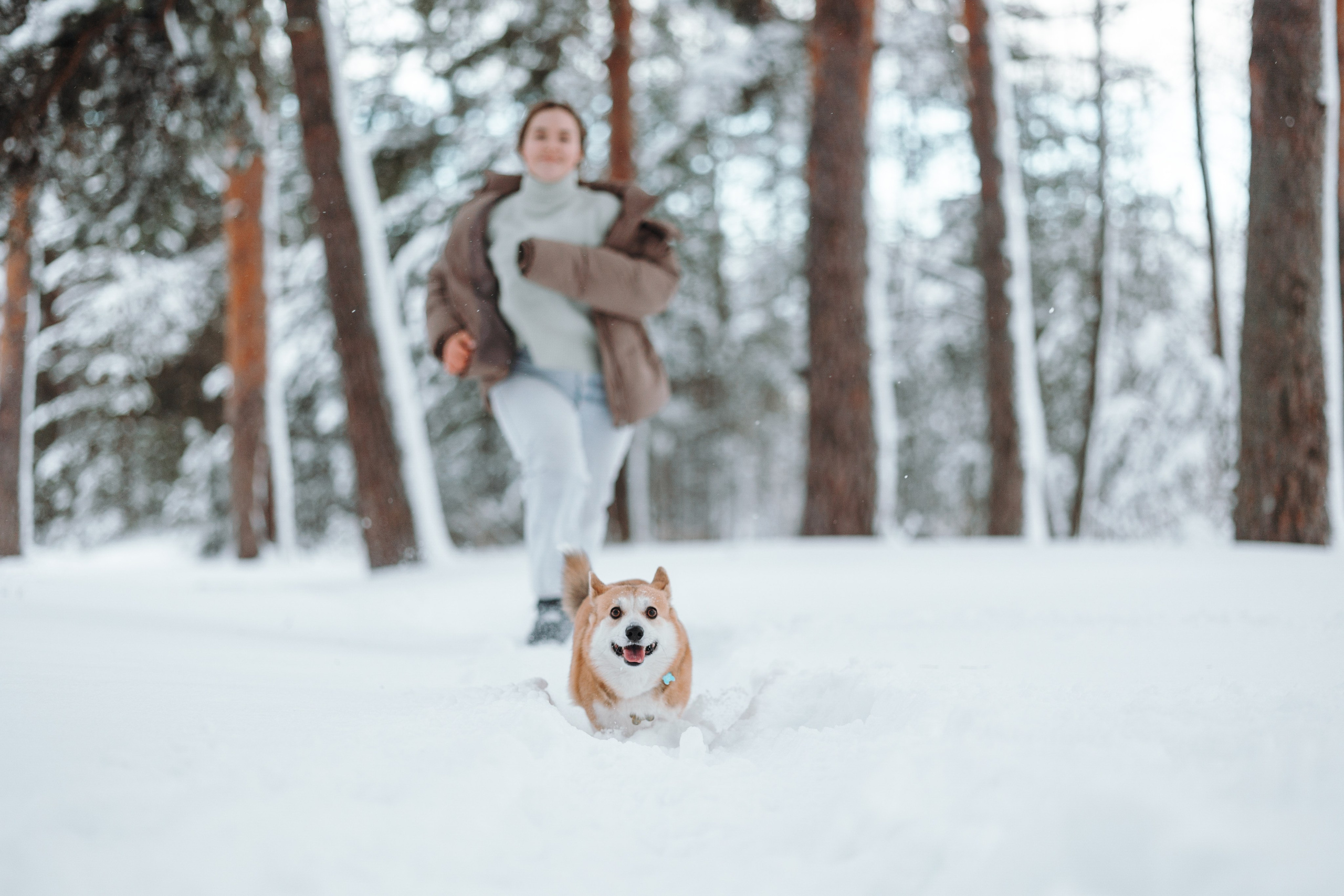 Оливка и ее семья. Фотограф — Анималист | Санкт-Петербург
