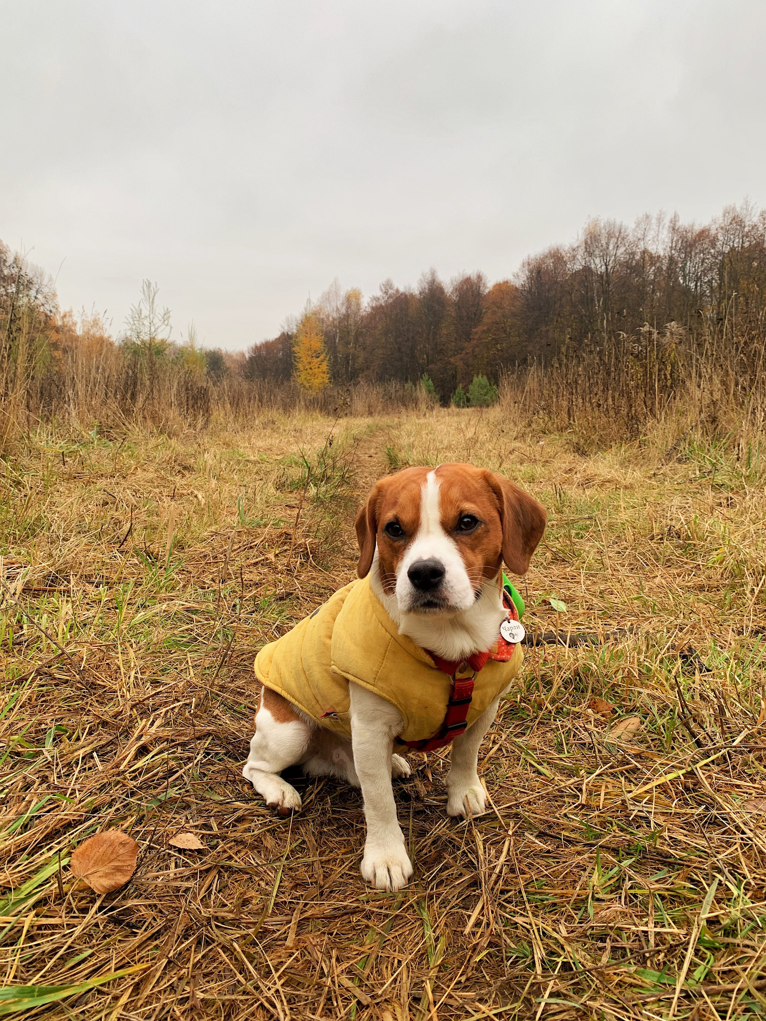 Чарли. DEWA | фотостудия для маркетплейсов