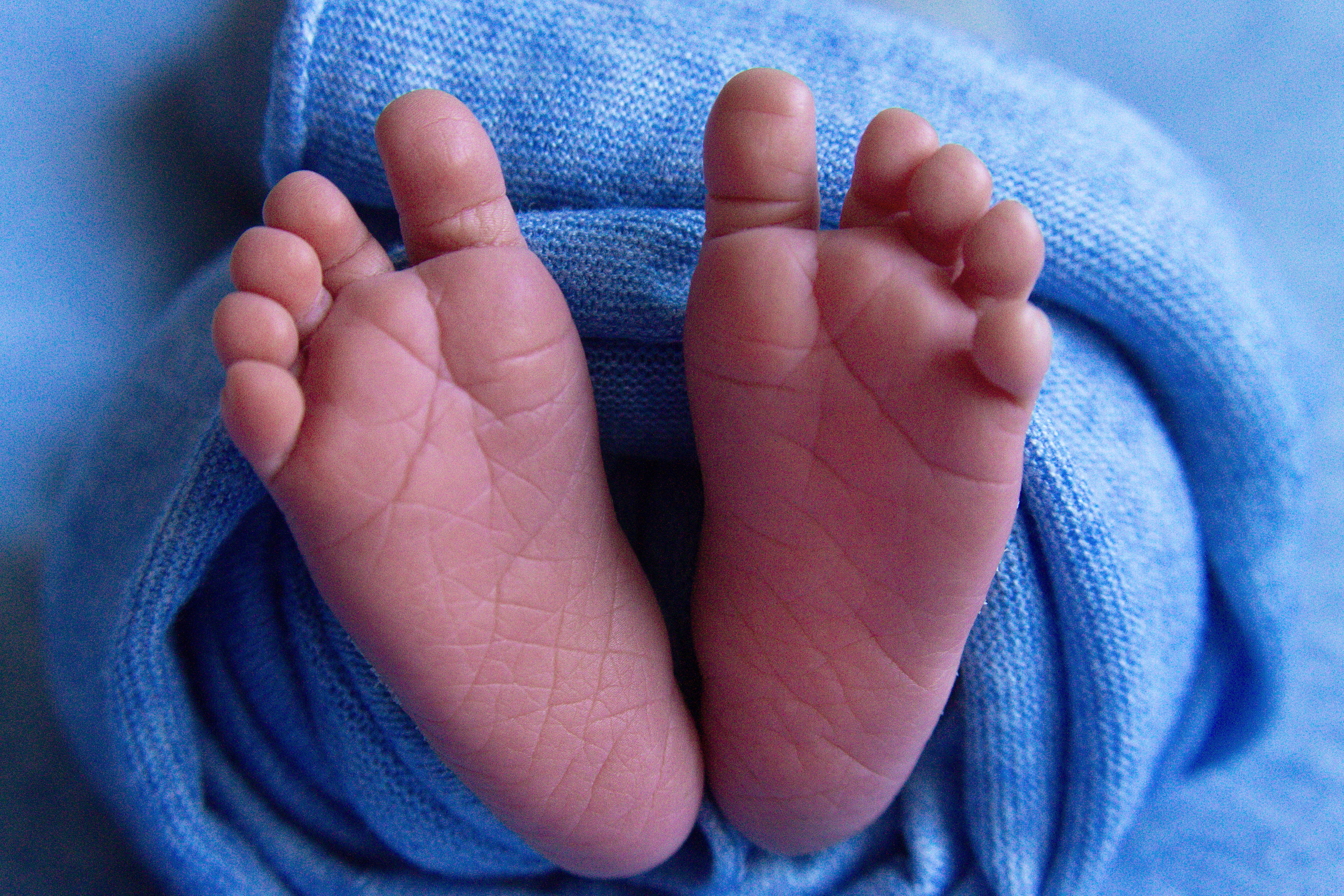 Портфолио. Фотограф новорожденных в  Краснодаре Елена Воропаева