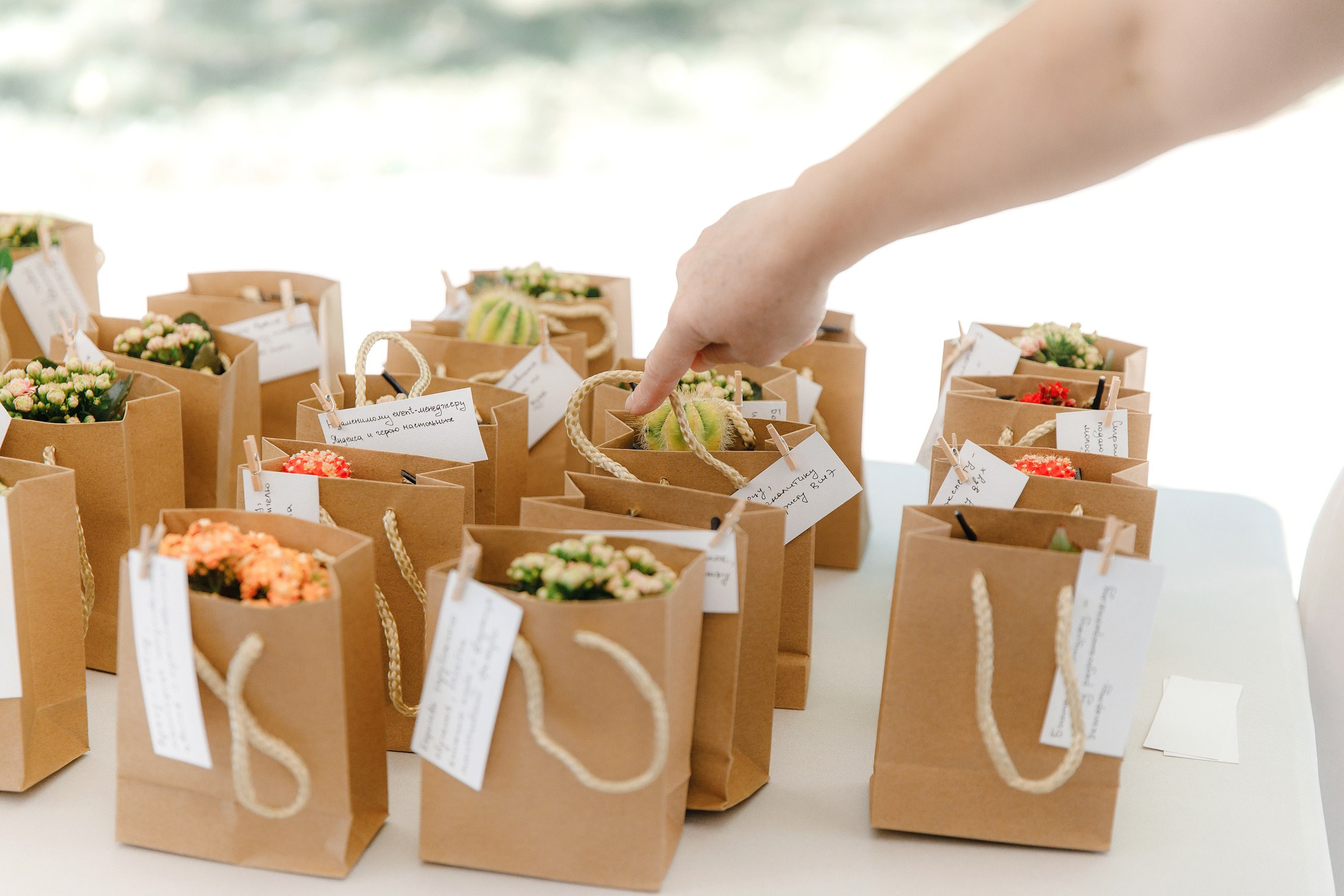 Андрей и Катя. Свадебный фотограф в Москве и МО Александр Ласковенков