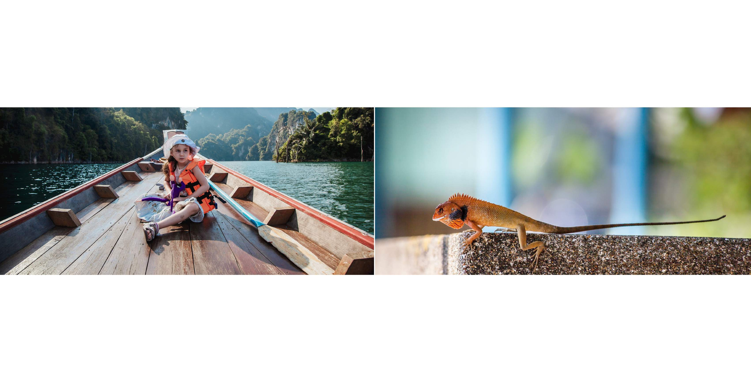 BEST FAMILY BOOK 2017