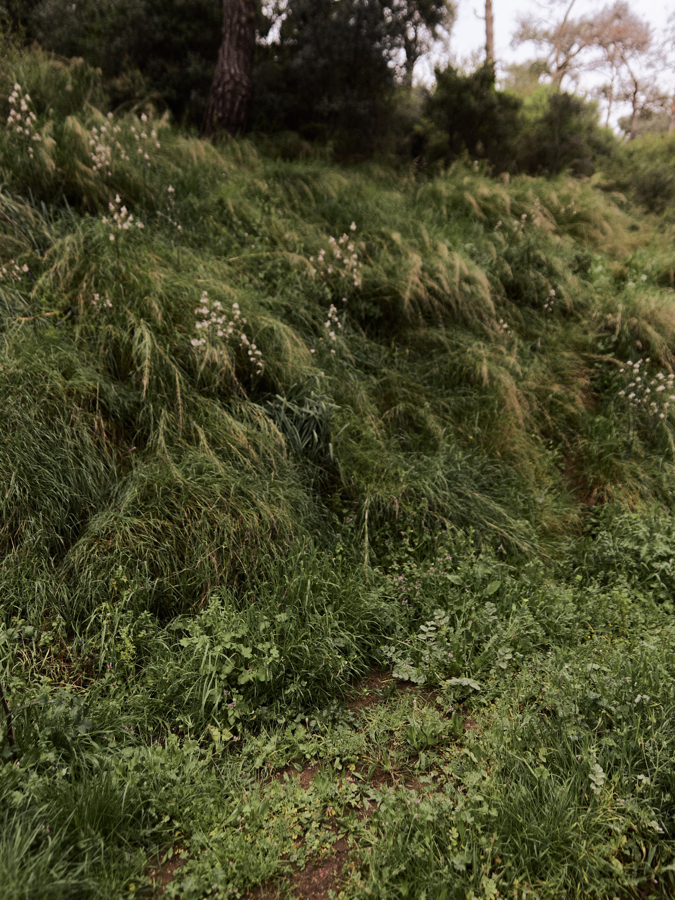 Природа. Jorgis Talè — photographer, kind person, teacher of arts and other mag