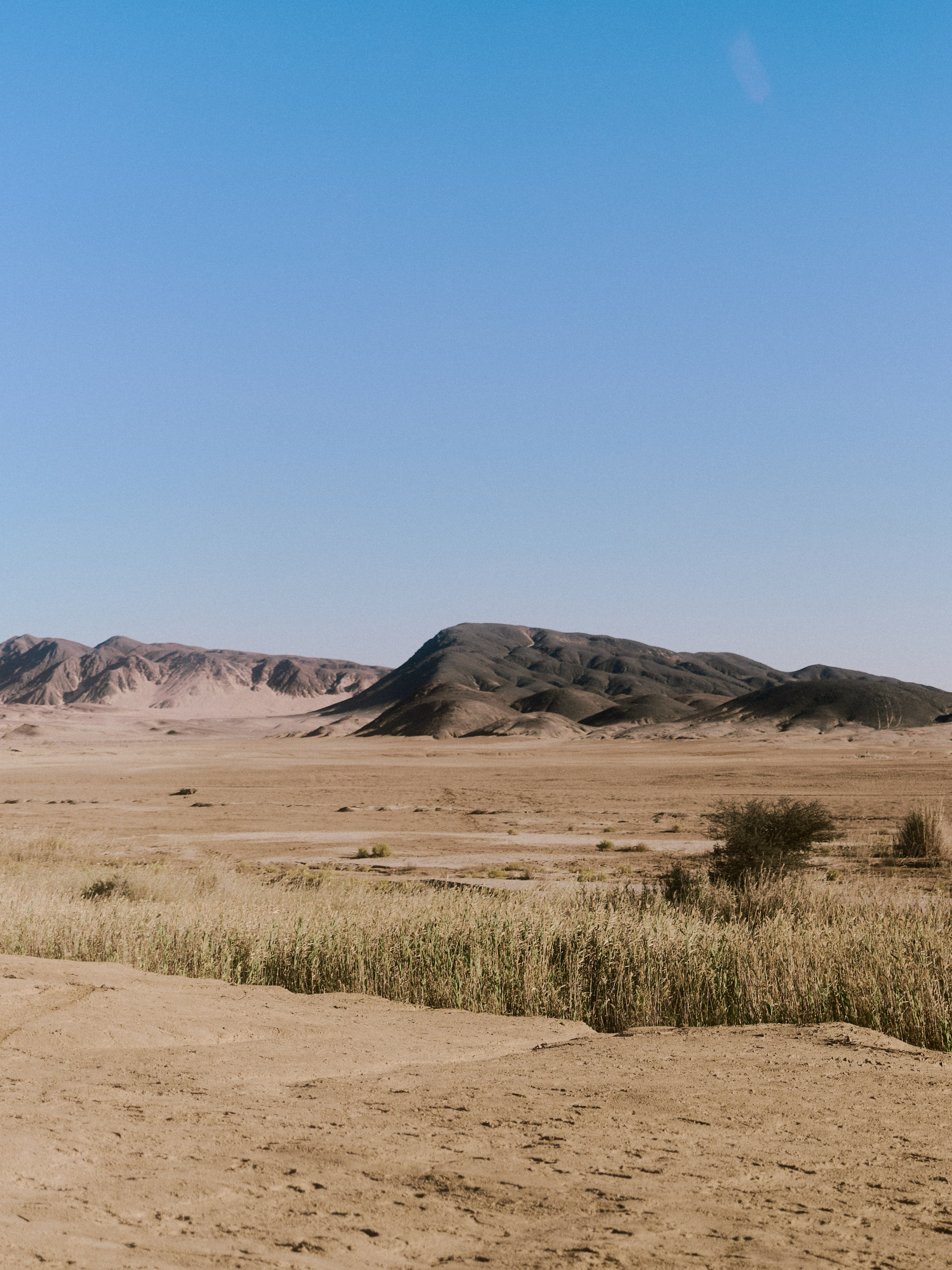 Природа. Jorgis Talè — photographer, kind person, teacher of arts and other mag