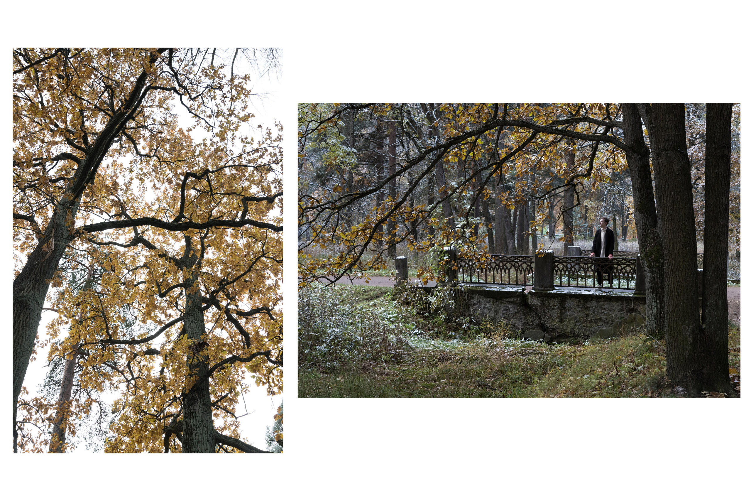 Мужской. Мария Пичугина — фотограф в Петергофе — Санкт-Петербурге