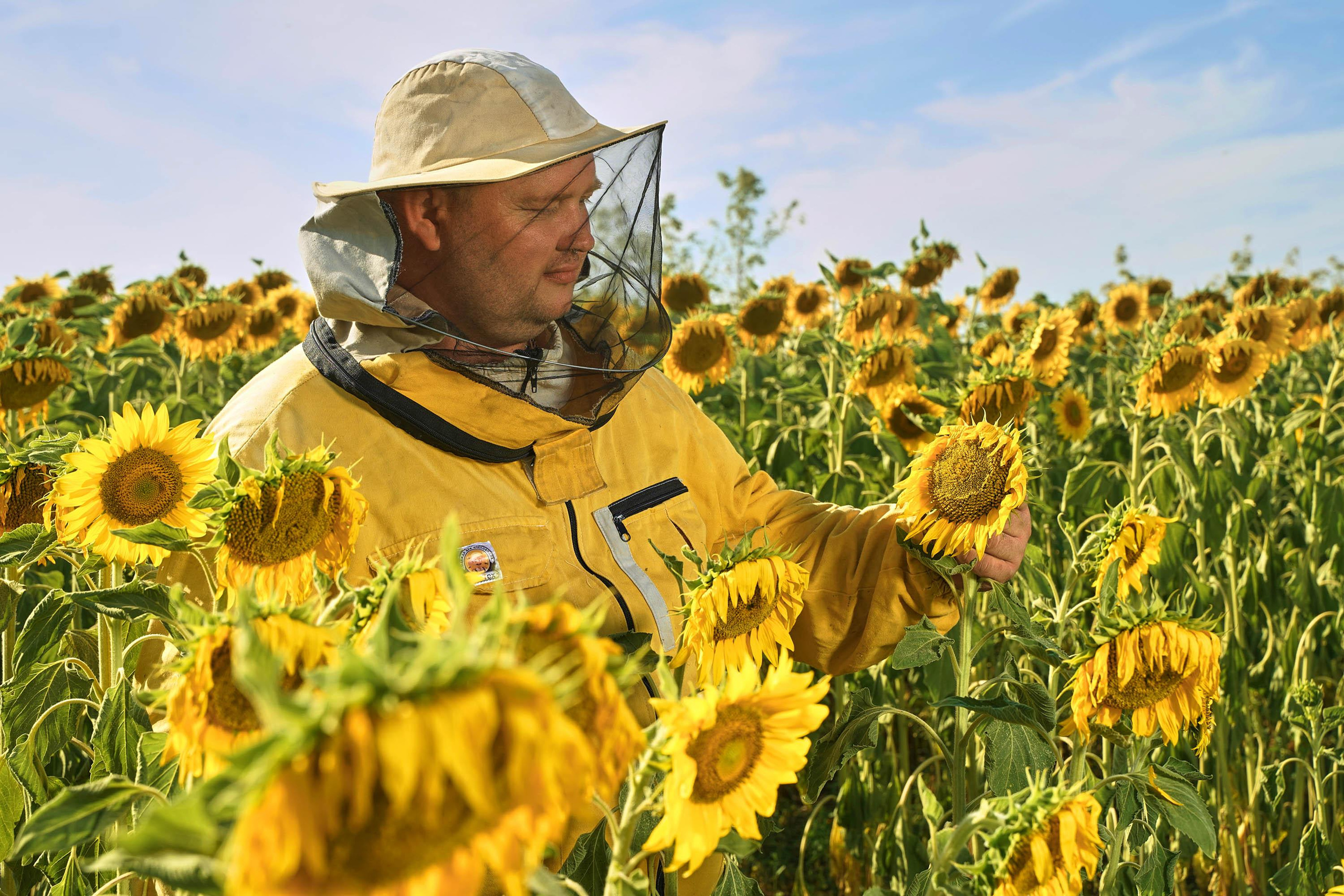 Башкирская пасека Митряшкина Владимира. Артем Ракаев — фотограф и видеомейкер из Санкт-Петербурга