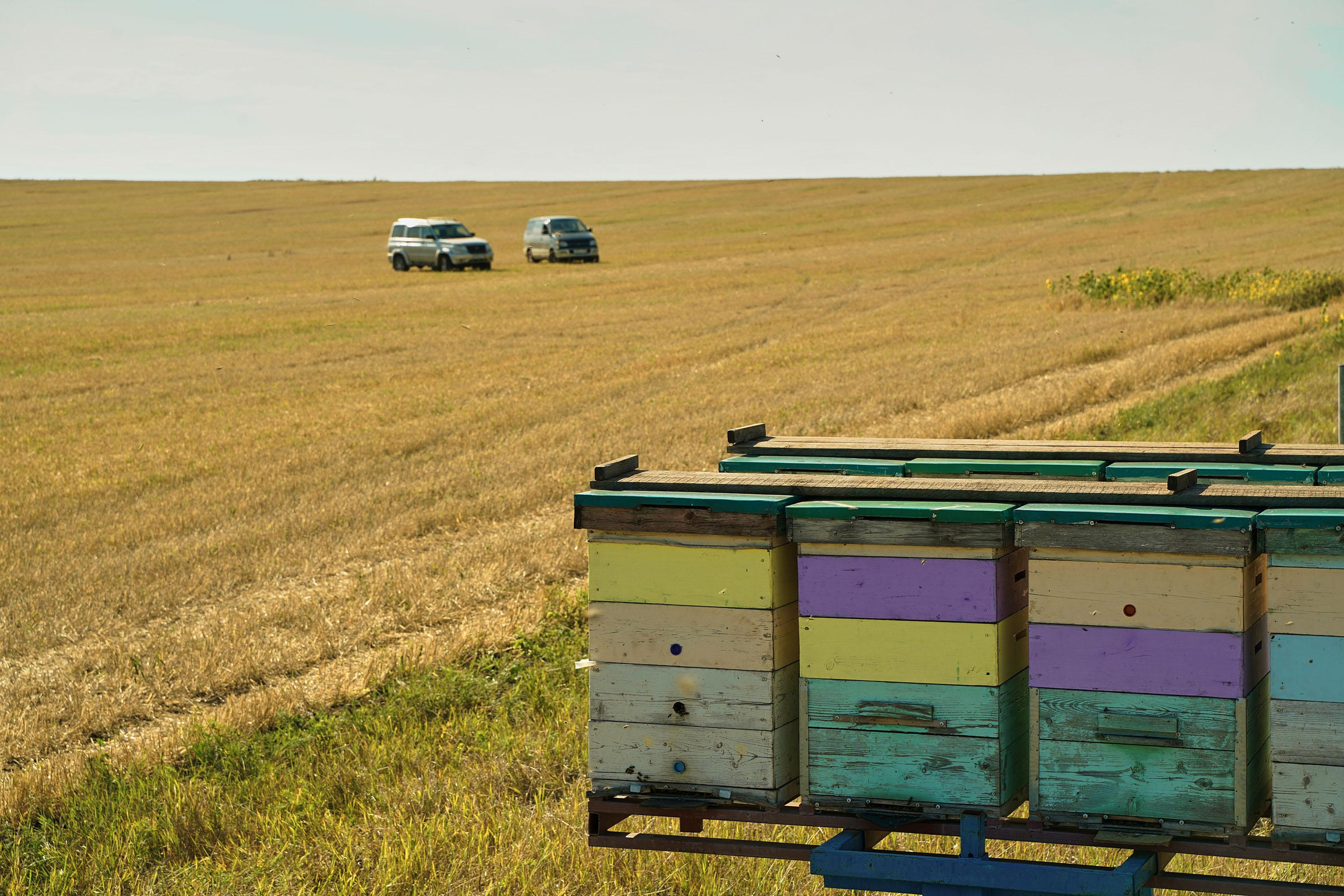 Башкирская пасека Митряшкина Владимира. Артем Ракаев — фотограф и видеомейкер из Санкт-Петербурга