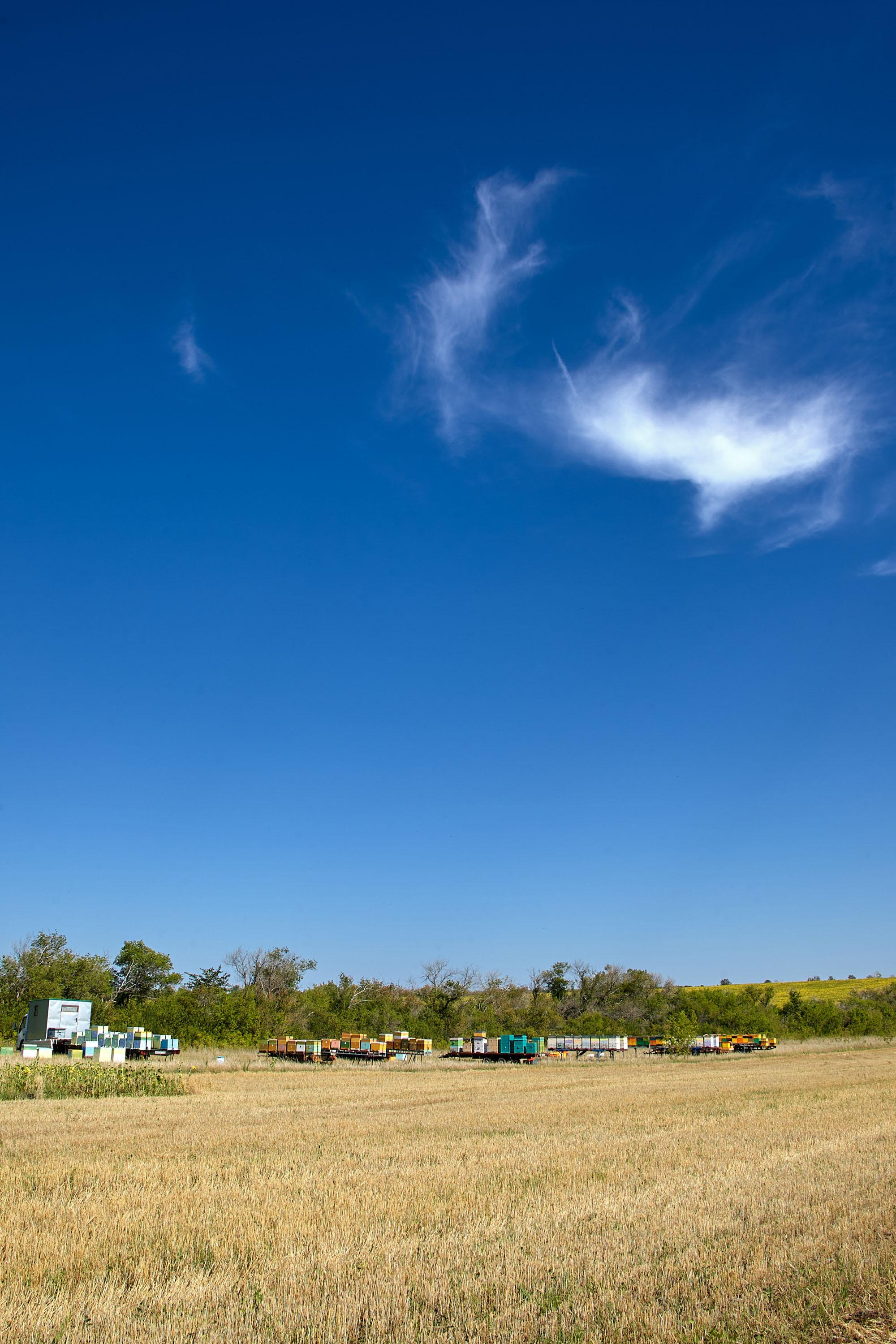 Башкирская пасека Митряшкина Владимира. Артем Ракаев — фотограф и видеомейкер из Санкт-Петербурга