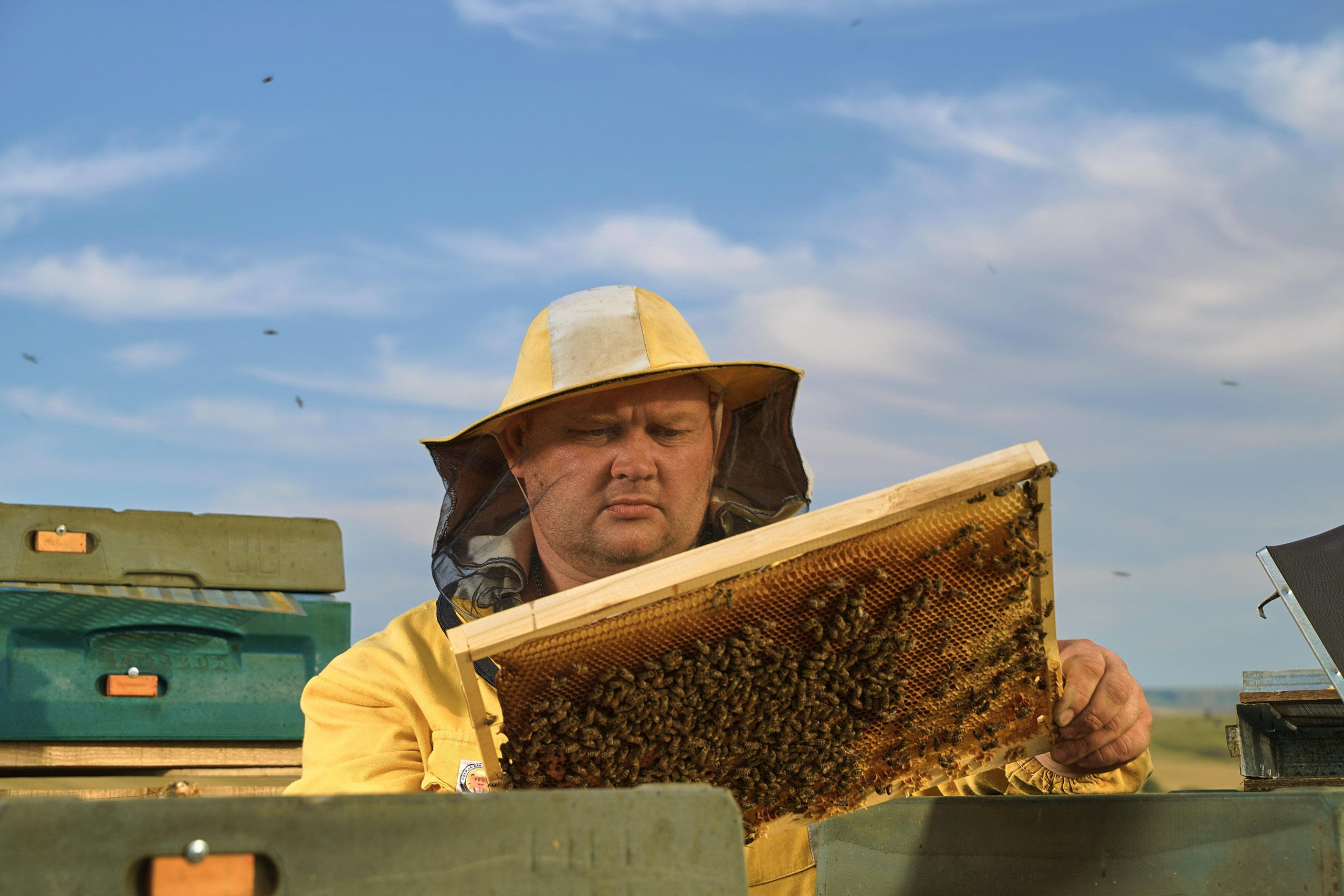 Башкирская пасека Митряшкина Владимира. Артем Ракаев — фотограф и видеомейкер из Санкт-Петербурга