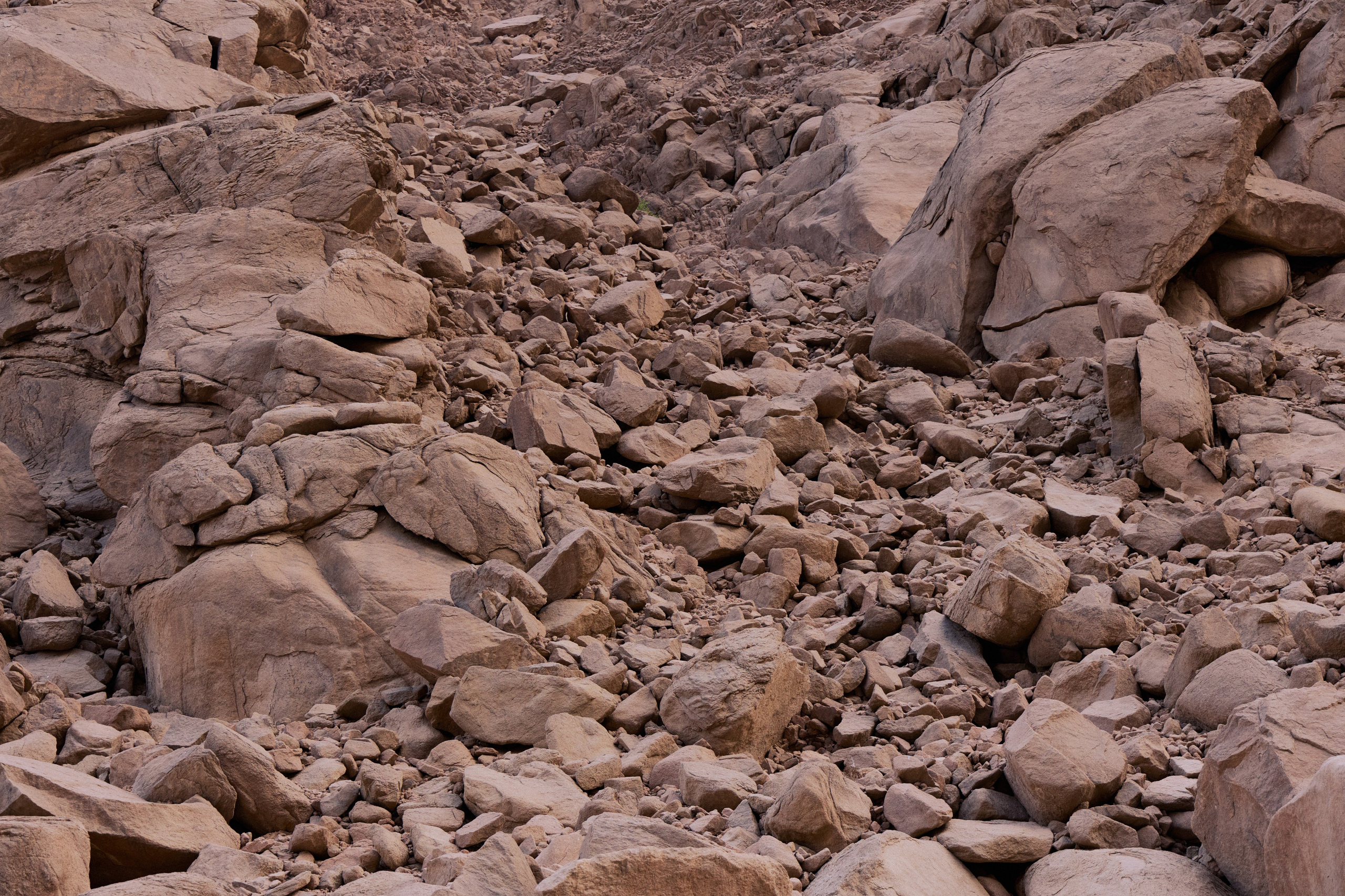 Другое 3. Jorgis — фотограф в Хургаде / обучение фотографии