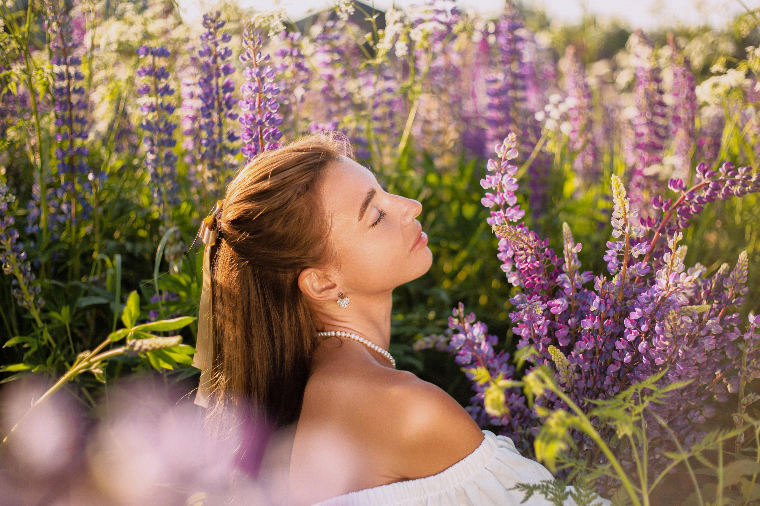 Люпины. Фотограф Москва / Балашиха