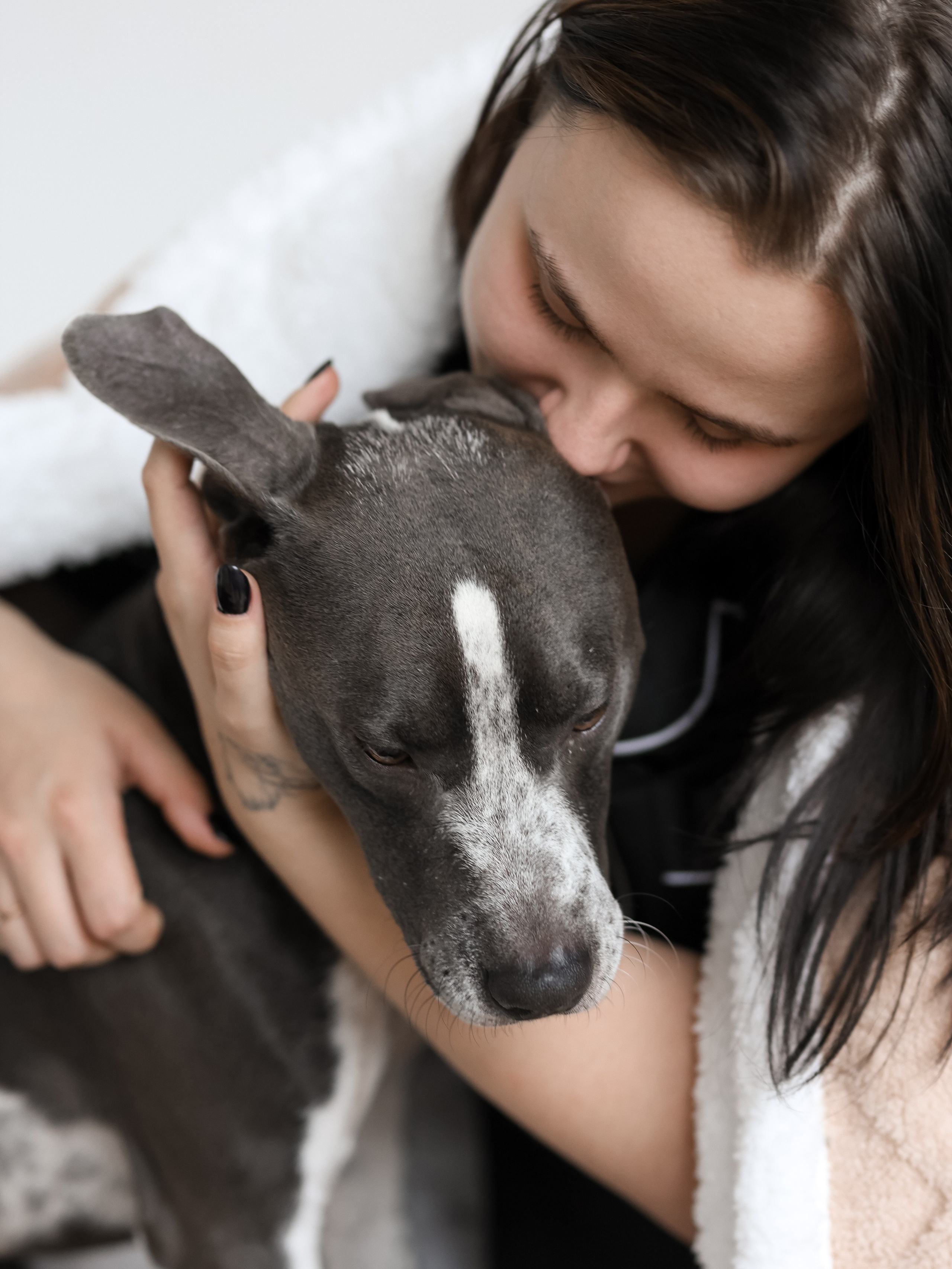 Тортик Даша и Никита. Фотограф-анималист в Москве Кириллова Татьяна