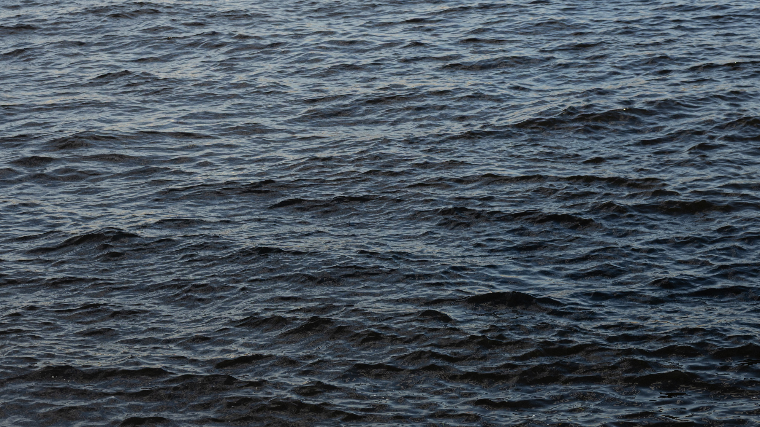 Love is all around. Свадебный фотограф Санкт-Петербург, Юлия Радченкова