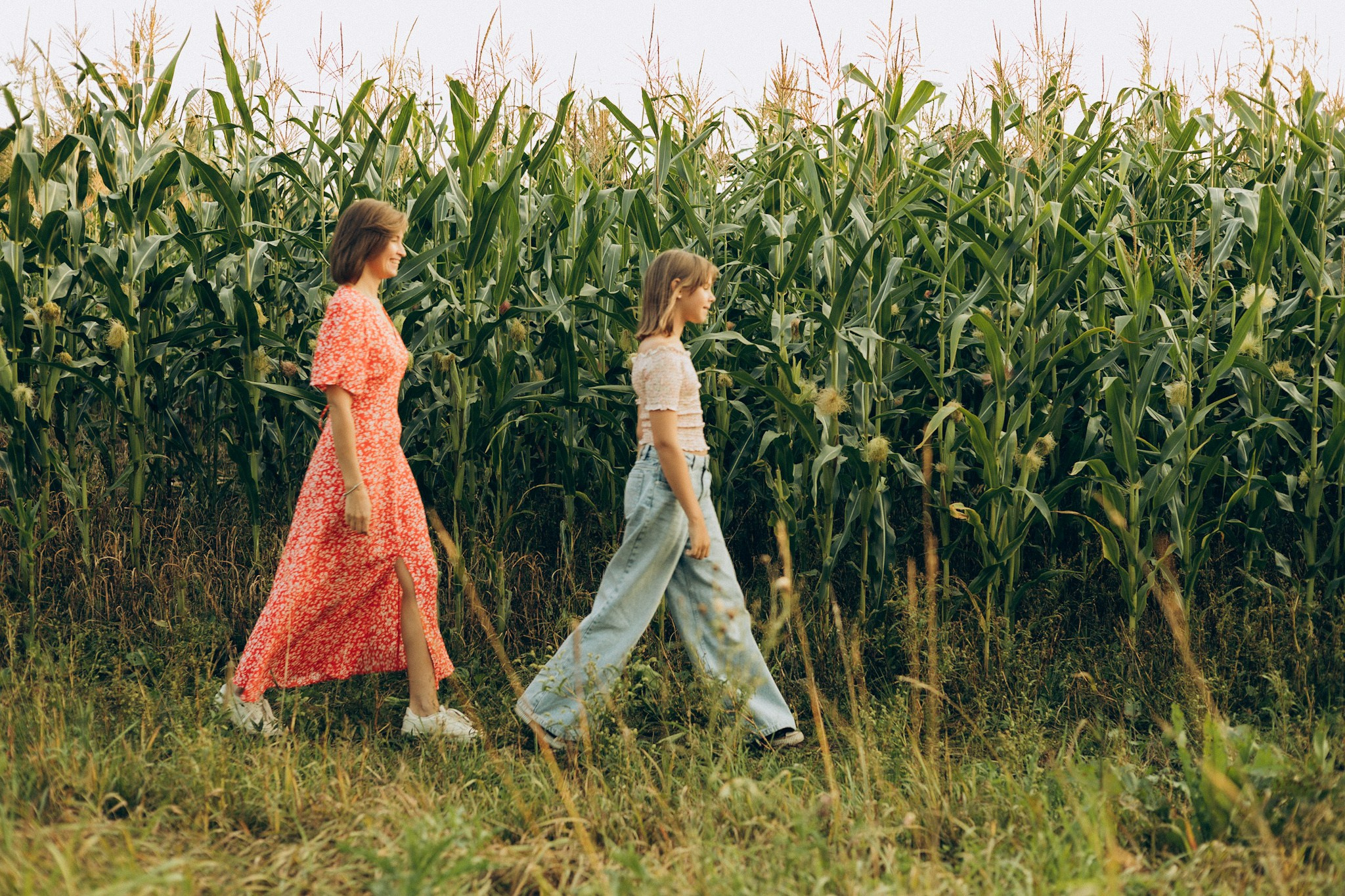 В кукурузе. Главная