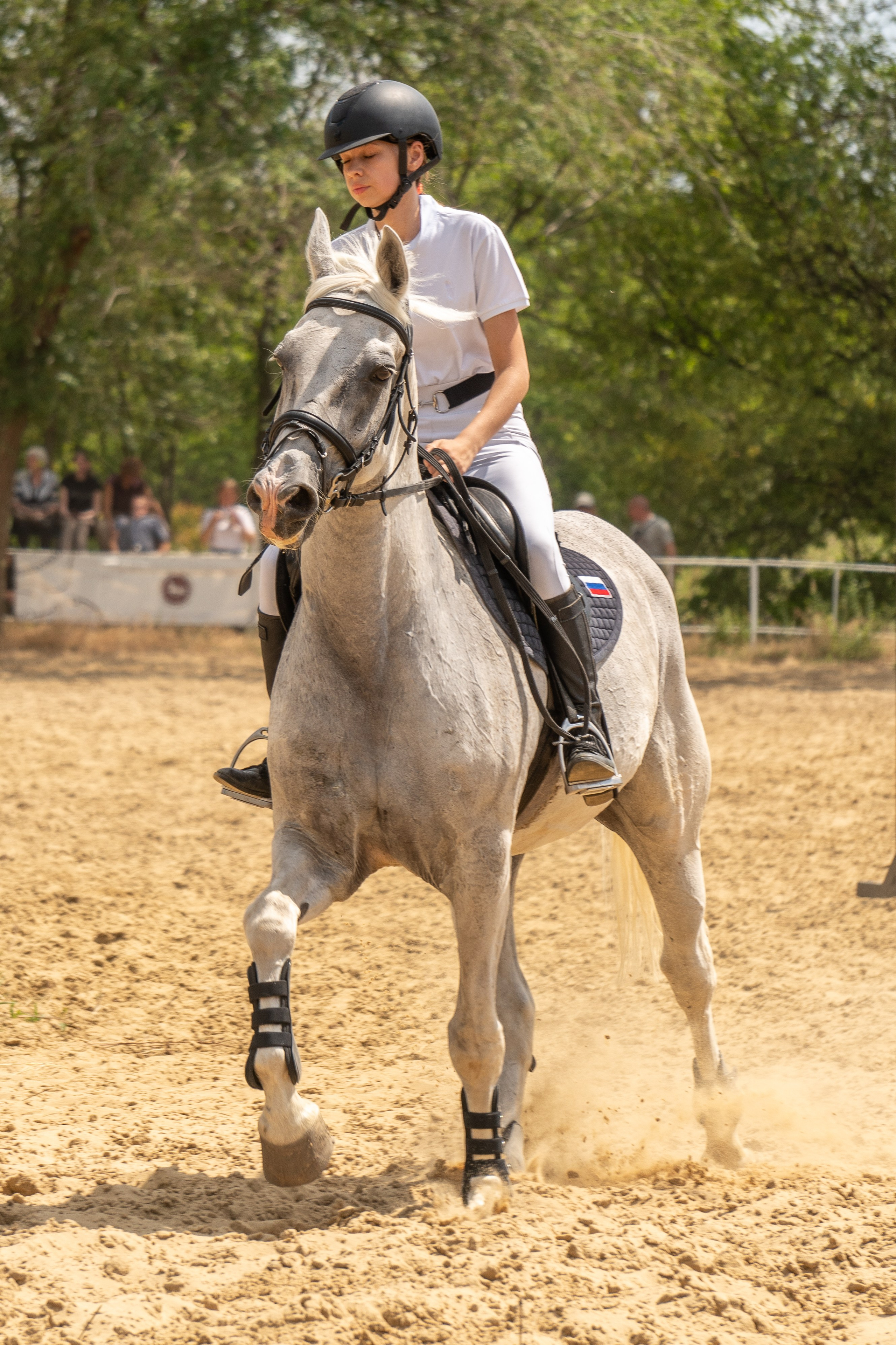 Соревнования по конкуру, Луганск. Фотограф в РФ и ЛНР Юлия Федосеева