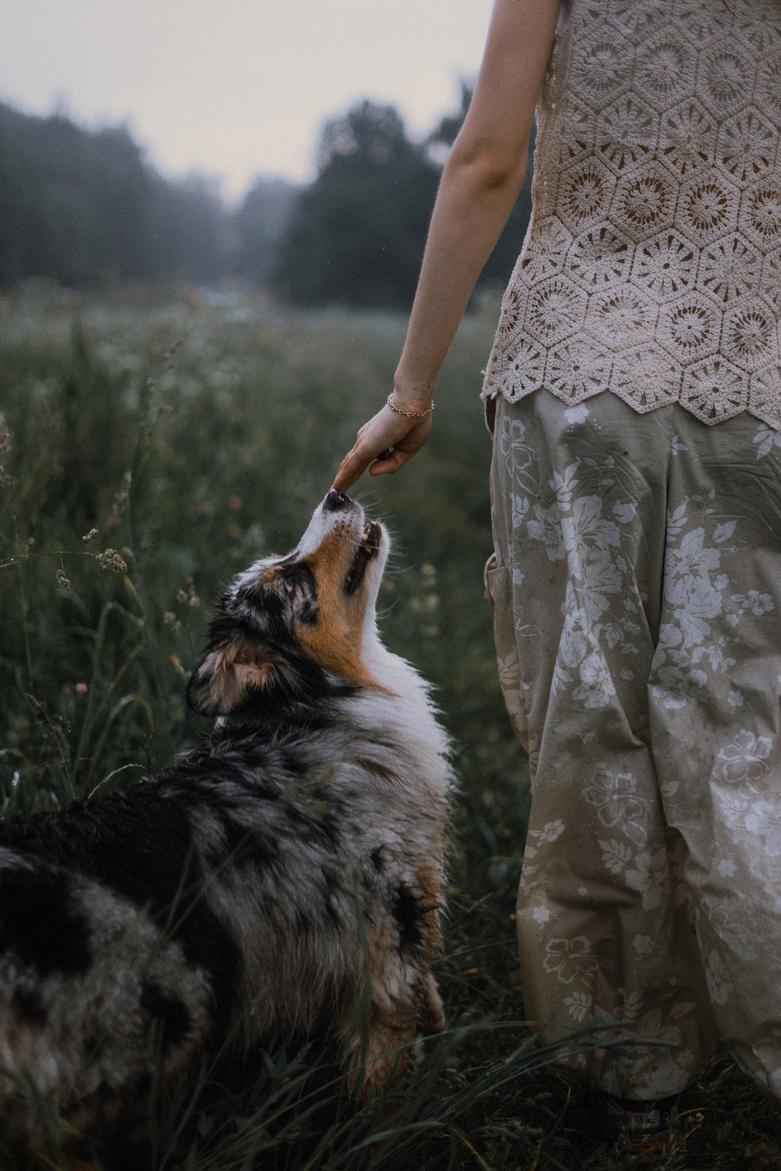 Маша и Долли. Фотограф-анималист Богданова Полина