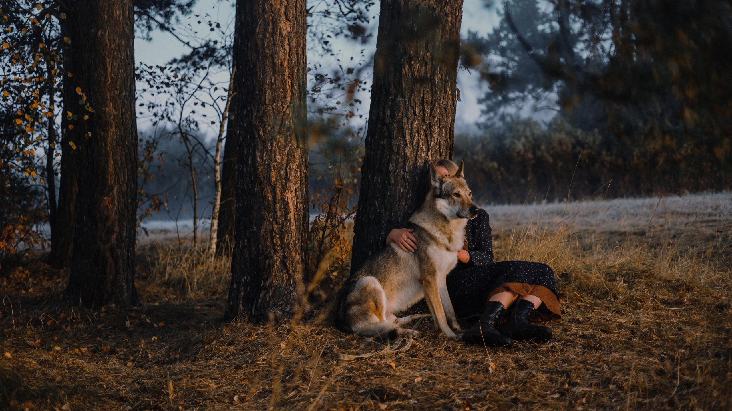 Полина и Вегард. Фотограф-анималист Богданова Полина